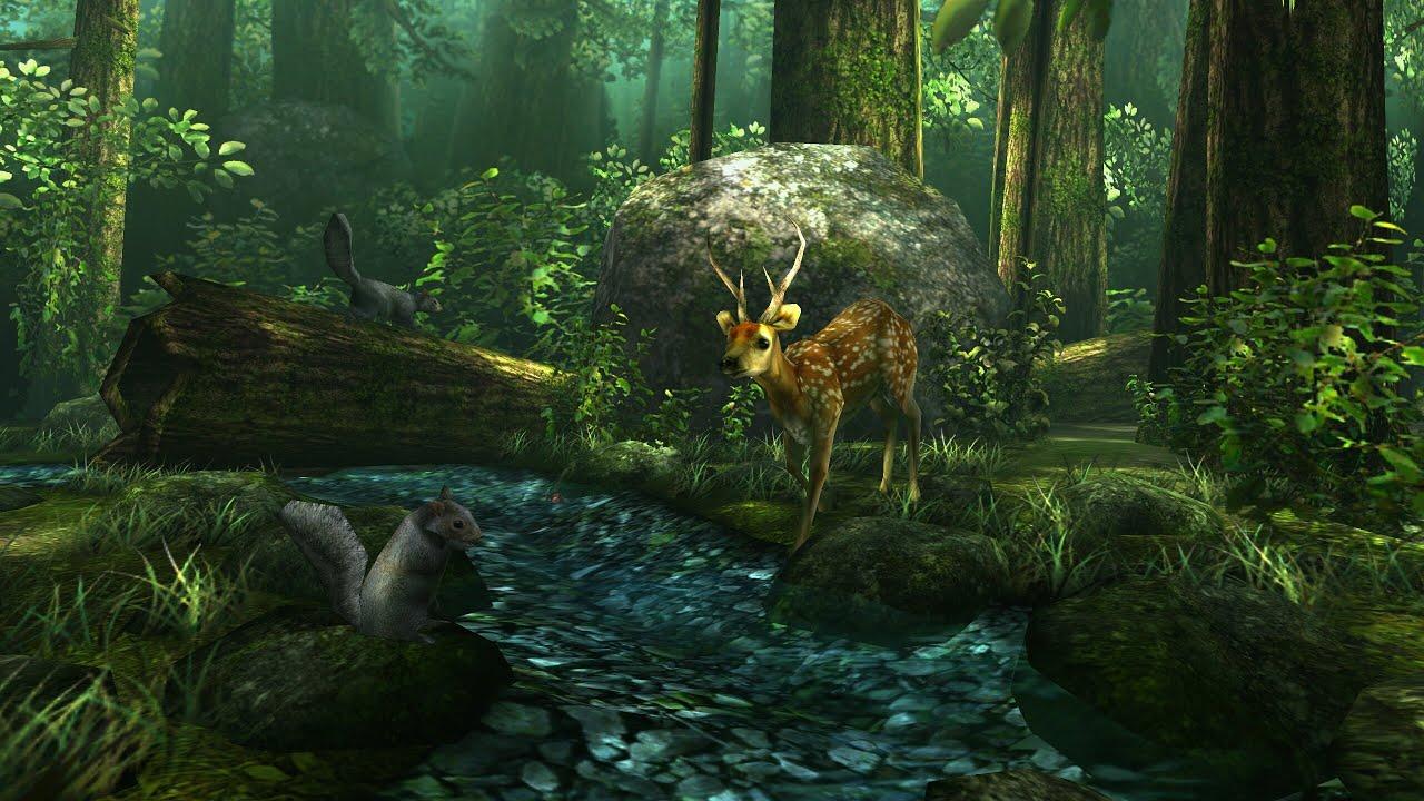 1280x720 Live Wallpaper Forest HD Wallpaper