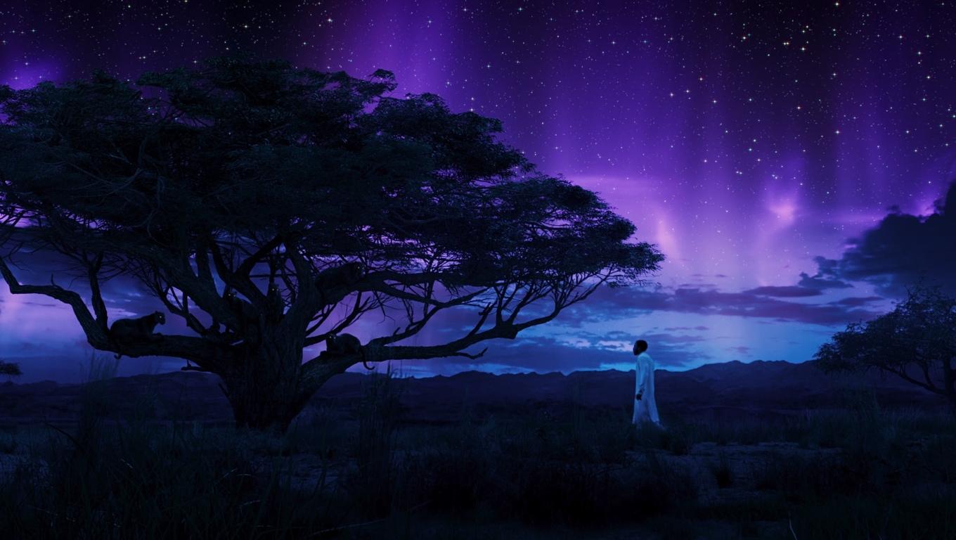 1360x768 Black Panther Chadwick Boseman In Field With Panthers Desktop Laptop HD Wallpaper, HD Movies 4K Wallpaper, Image, Photo and Background