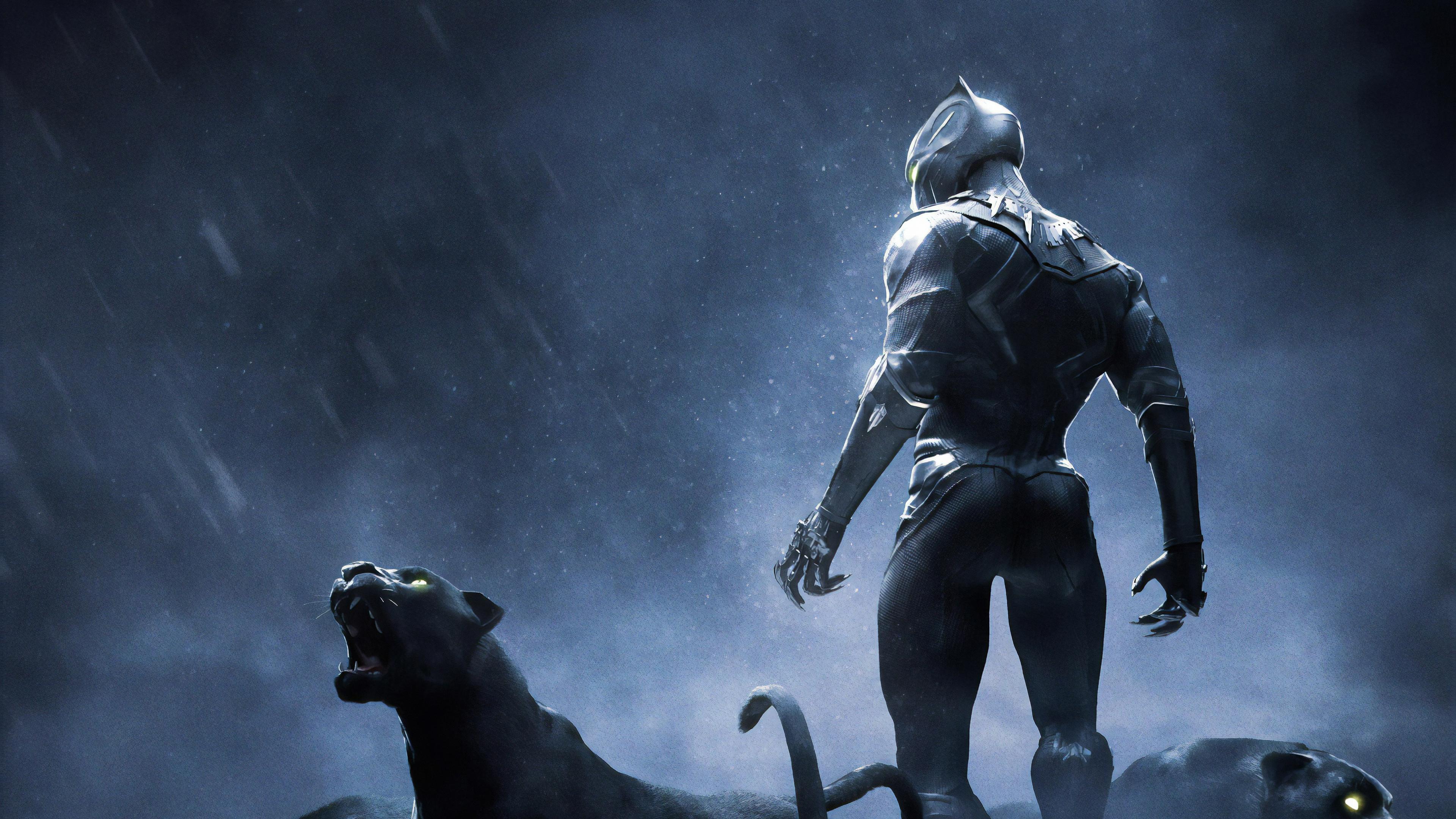 3840x2160 4k HD Black Panther Animal Wallpaper