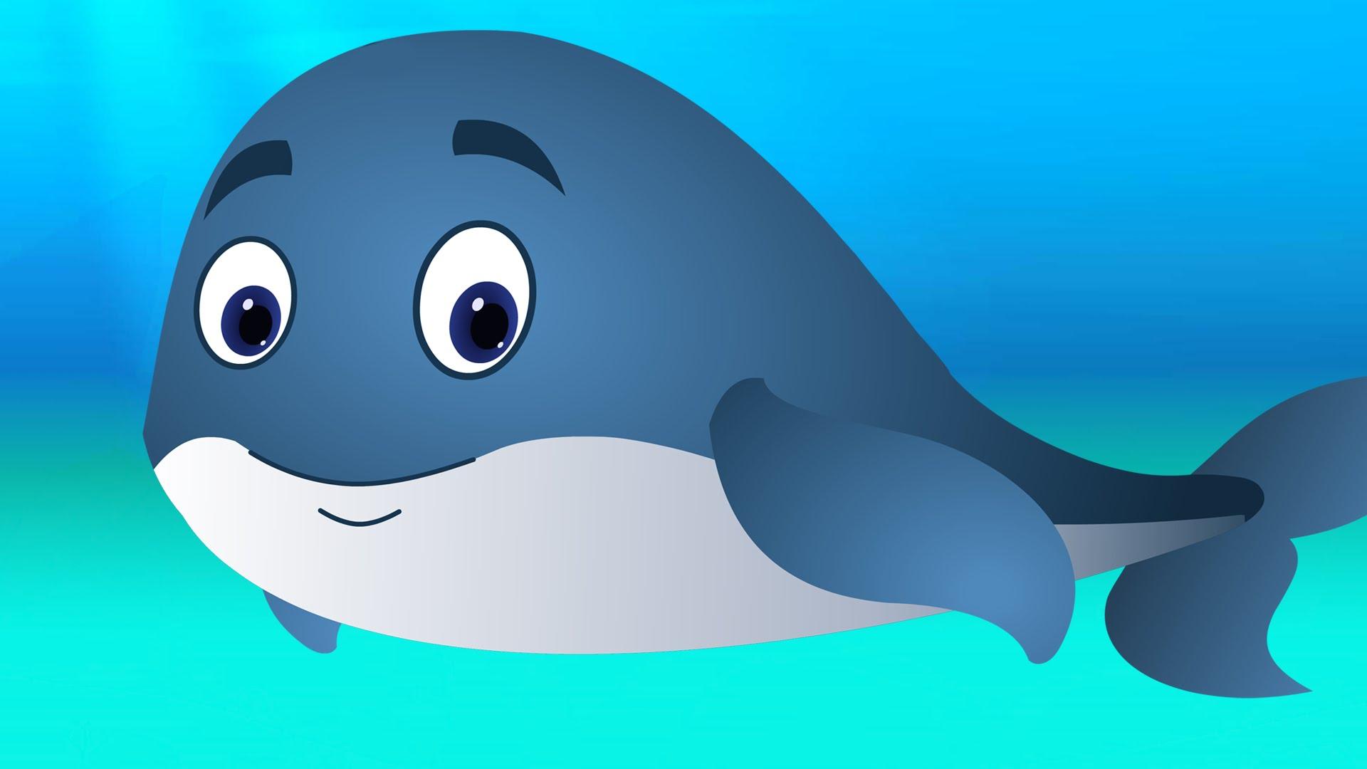1920x1080 whale image for kids