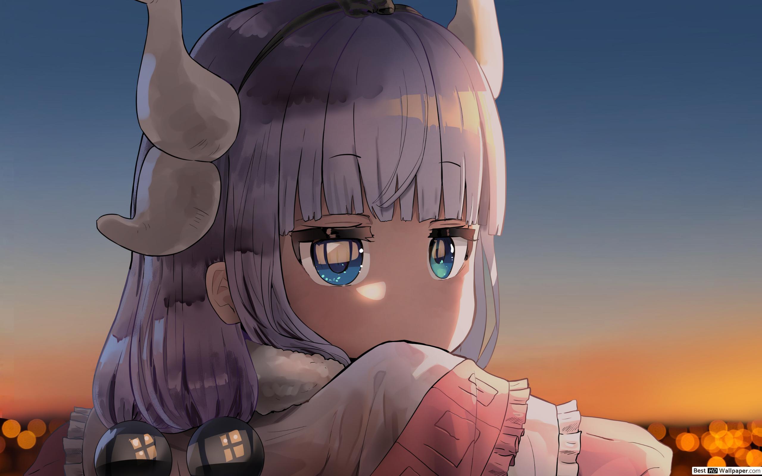 2560x1600 Mis Kobayashi Dragon Maid Kamui Dragon HD wallpaper download