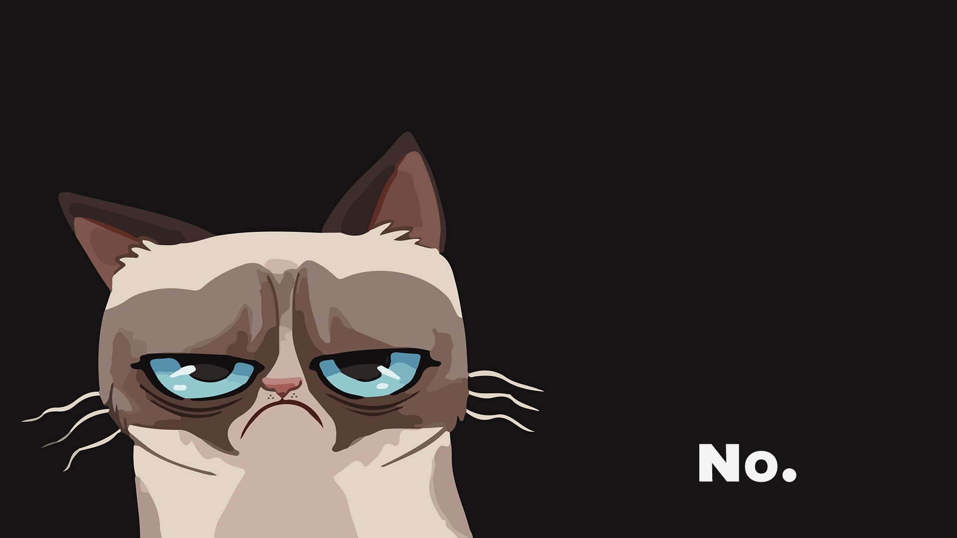 1920x1080 Cartoon Cat Photo HD Cat Wallpaper HD