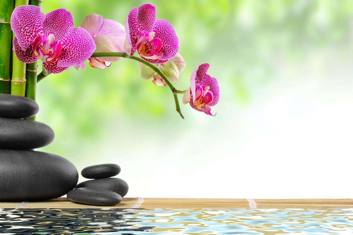 Zen Flower Wallpapers - Top Free Zen Flower Backgrounds - WallpaperAccess