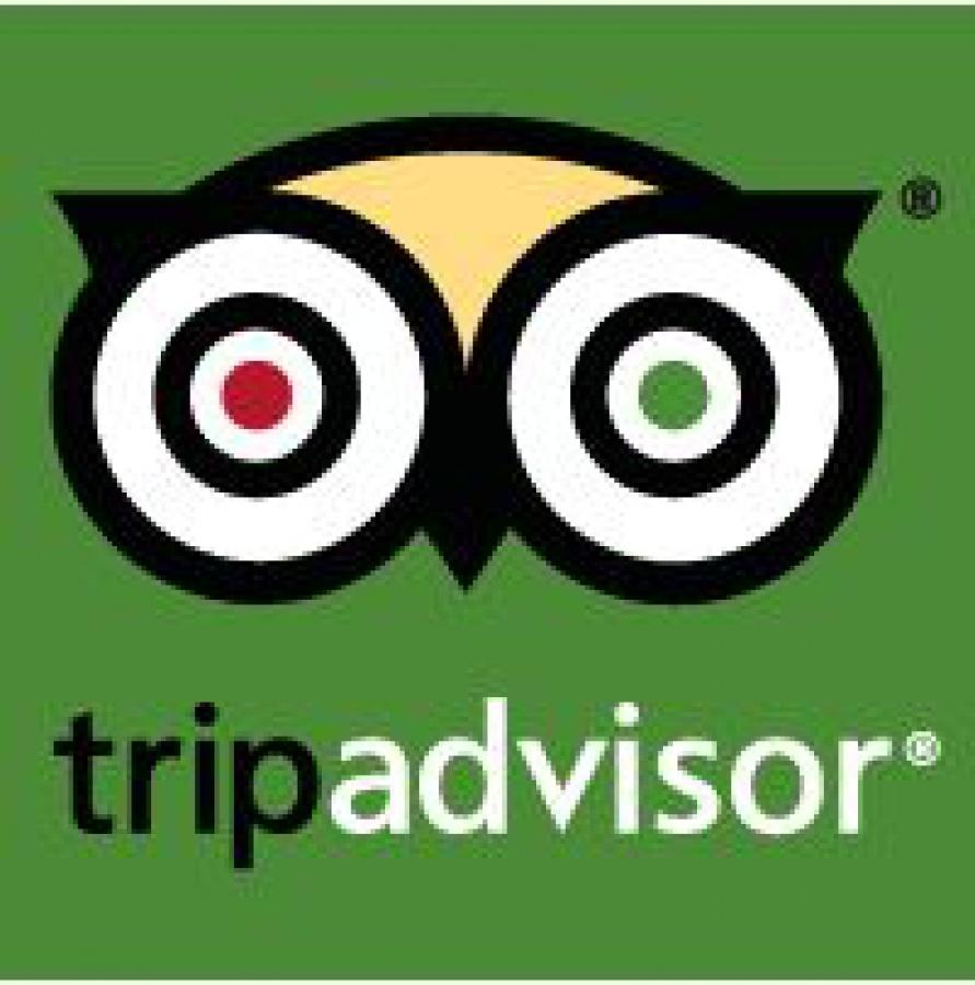 891x900 Free download TripAdvisor Icon HD Wallpaper 3D Abstract Wallpaper [891x900] for your Desktop, Mobile & Tablet. Explore Wallpaper Icon. Apple Icon Wallpaper, iPhone Icon Wallpaper, Free Home Screen Wallpaper