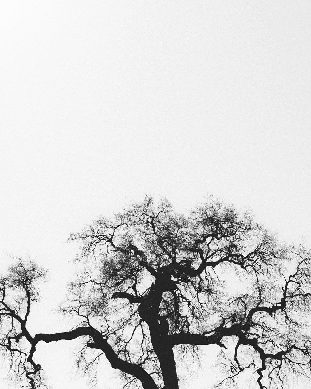 1000x1249 Black Sad Picture. Download Free Image