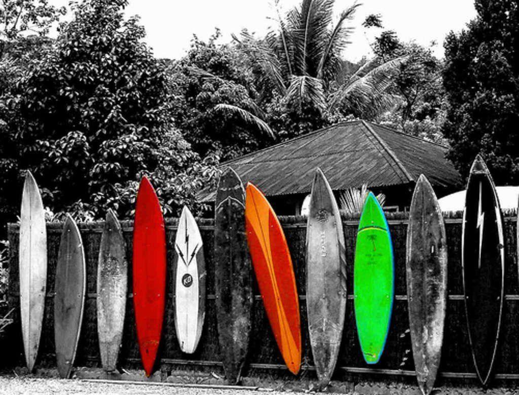 Surfing Black and White Wallpapers - Top Free Surfing Black and White