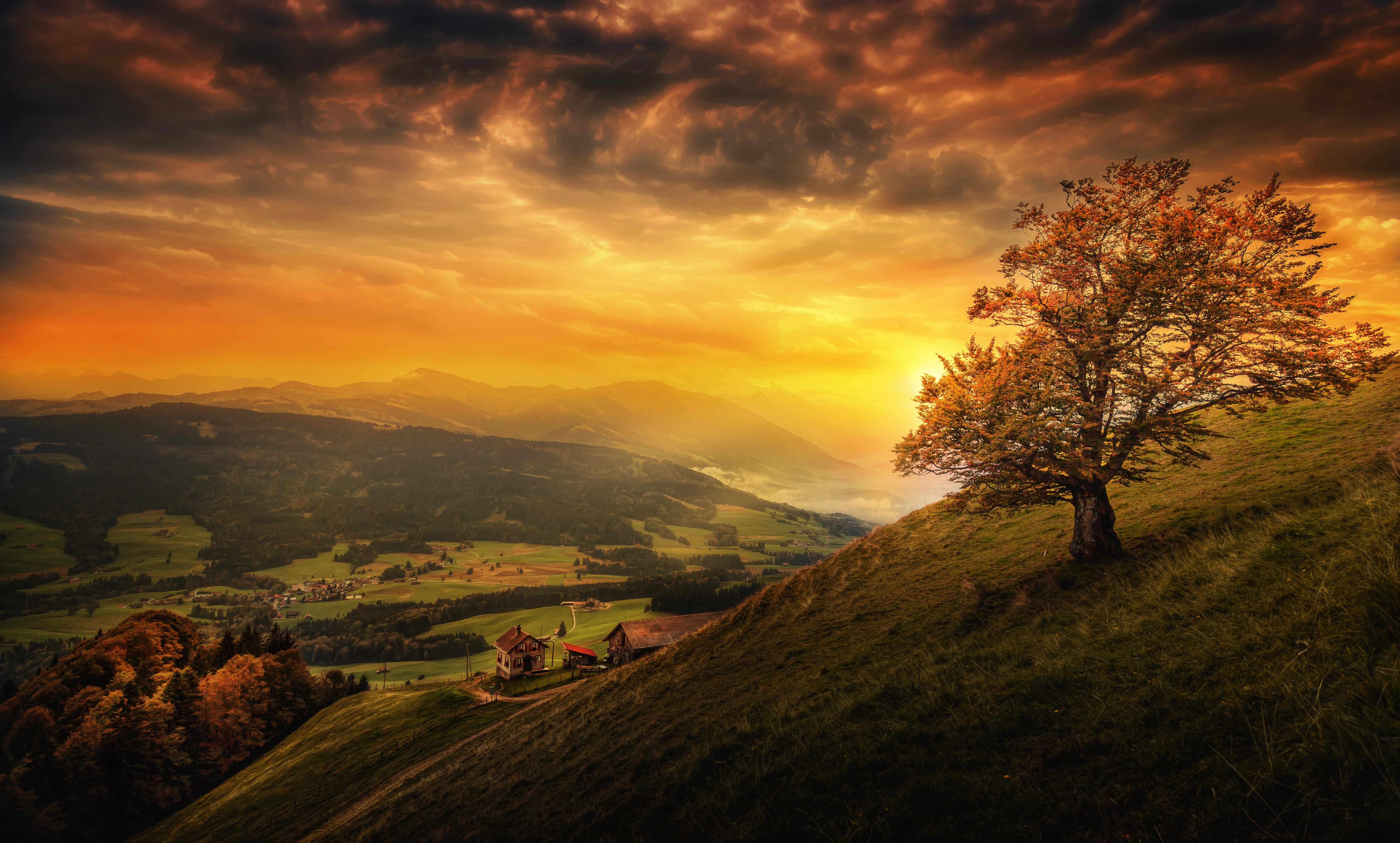 Hillside Wallpapers - Top Free Hillside Backgrounds - WallpaperAccess