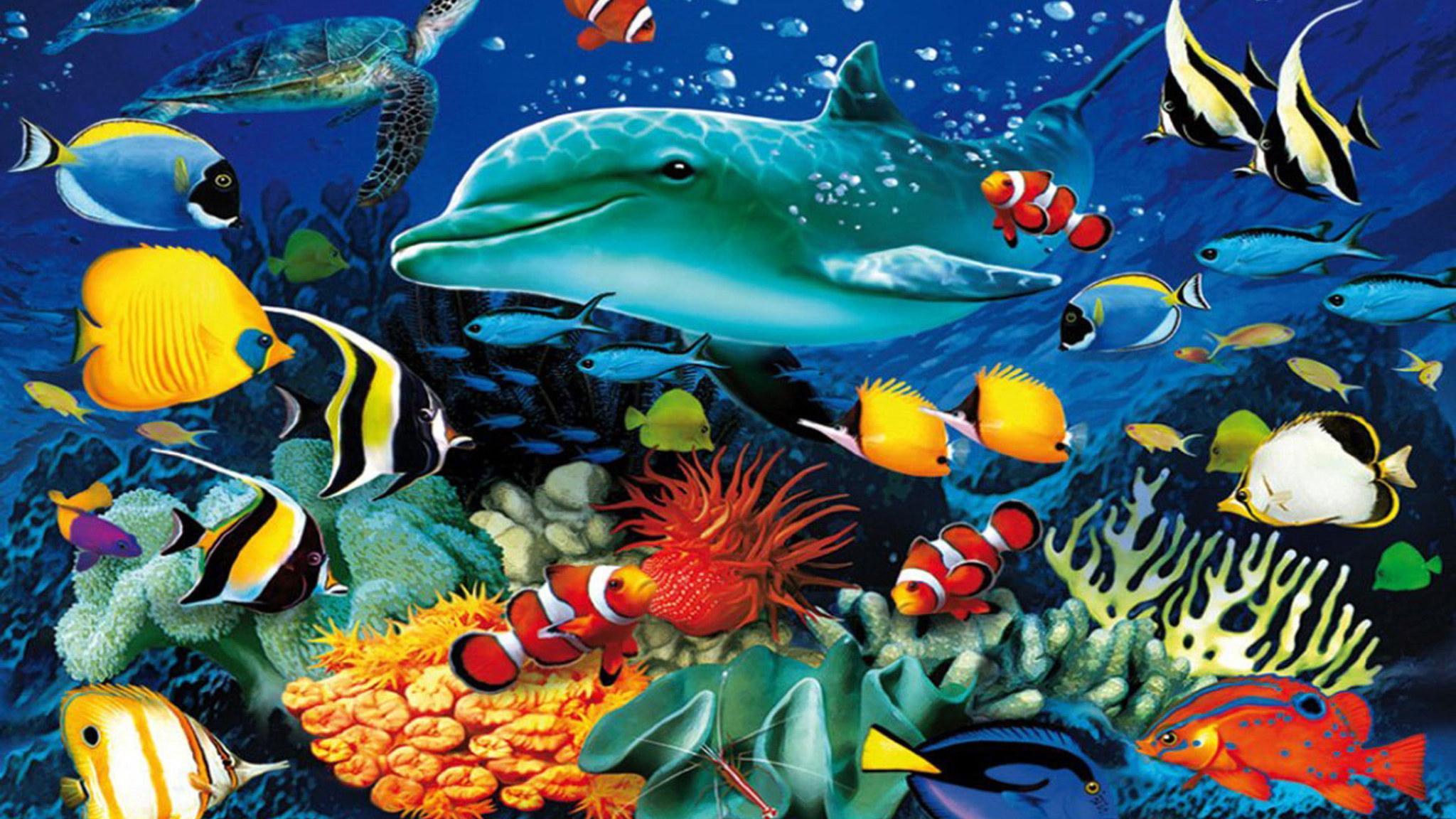 2048x1152 Ocean Underwater World Marine Life Dolphin Sea Turtle Colorful Tropical Fish wallpaper, Coral Wallpaper For Pc, Tablet And Mobile Download 1920×1200 • Wallpaper For You HD Wallpaper For Desktop & Mobile