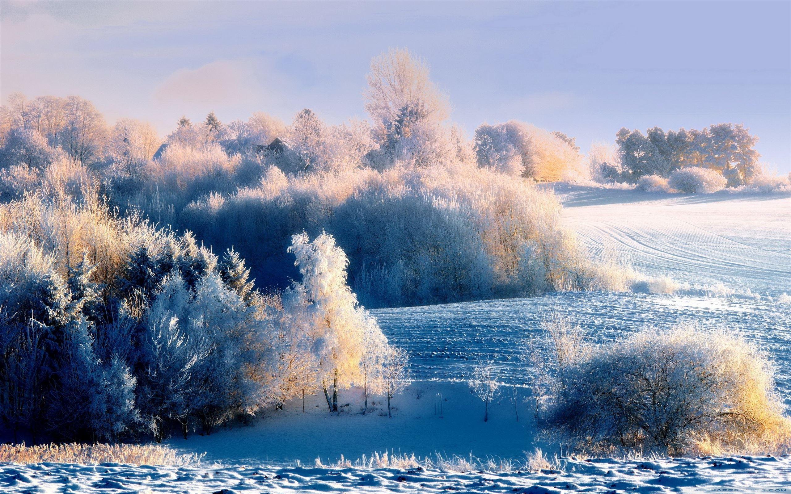 2560x1600 Snowy Hillside Landscape MacBook Air Wallpaper Download