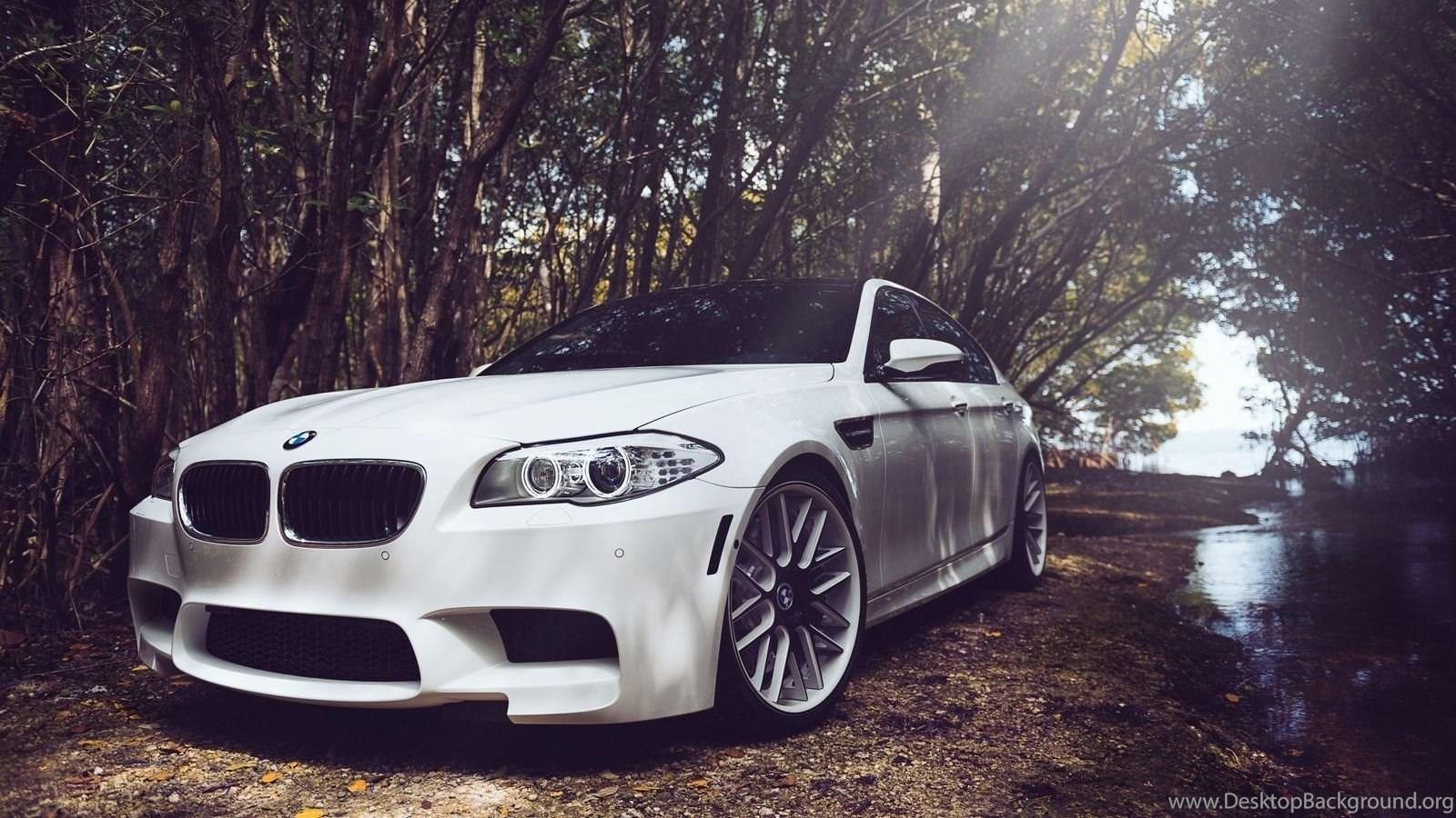 1600x900 BMW Classic Series Desktop Wallpaper Modification 49809 Flowers. Desktop Background