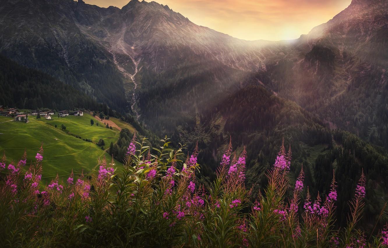 1332x850 Wallpaper mountains, treatment, village, alpine flowers, alpine wildflowers image for desktop, section пейзажи