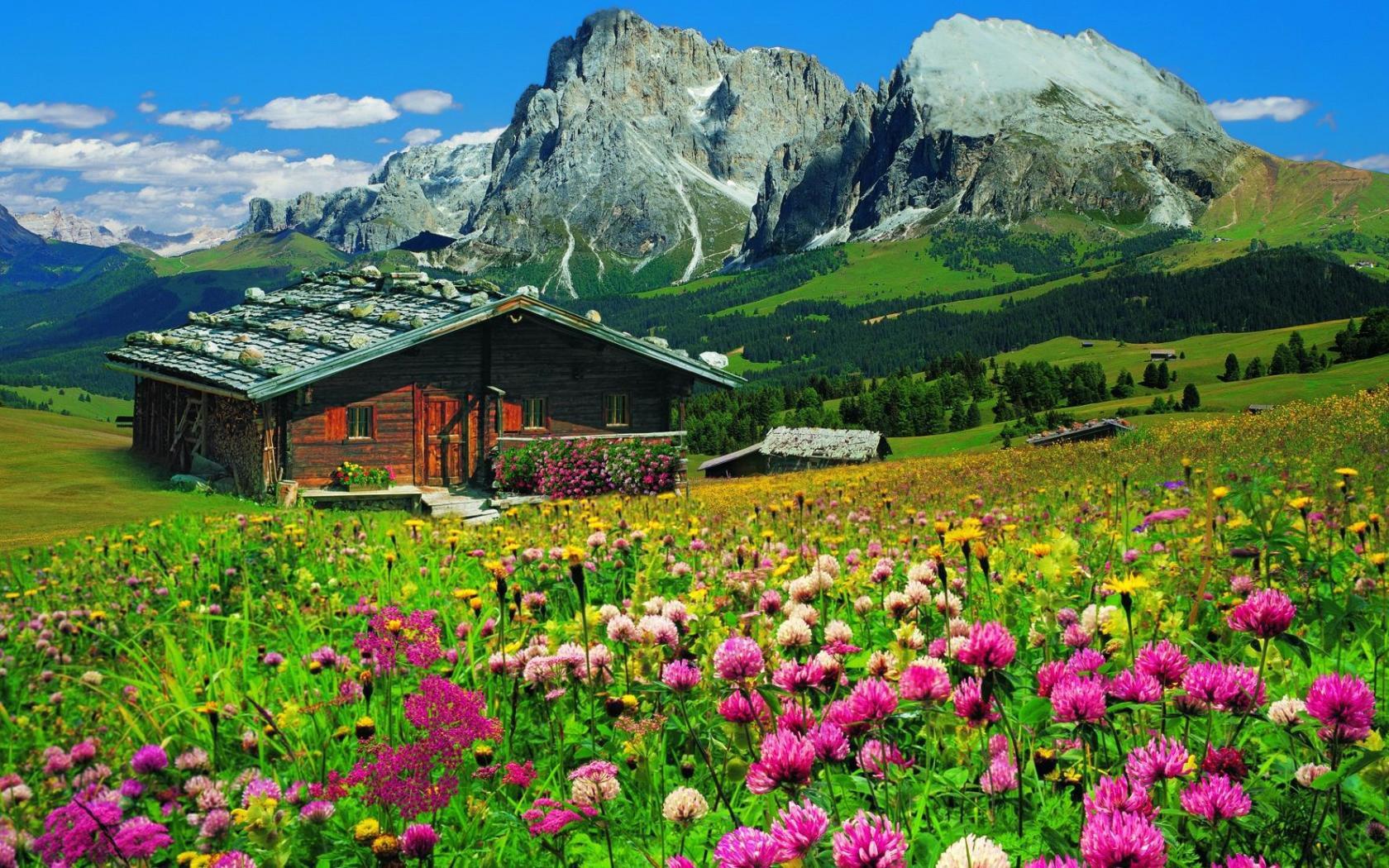 1680x1050 Landscape Mountain Grass House Flower Wildflower Green Field Wallpaper:1680x1050