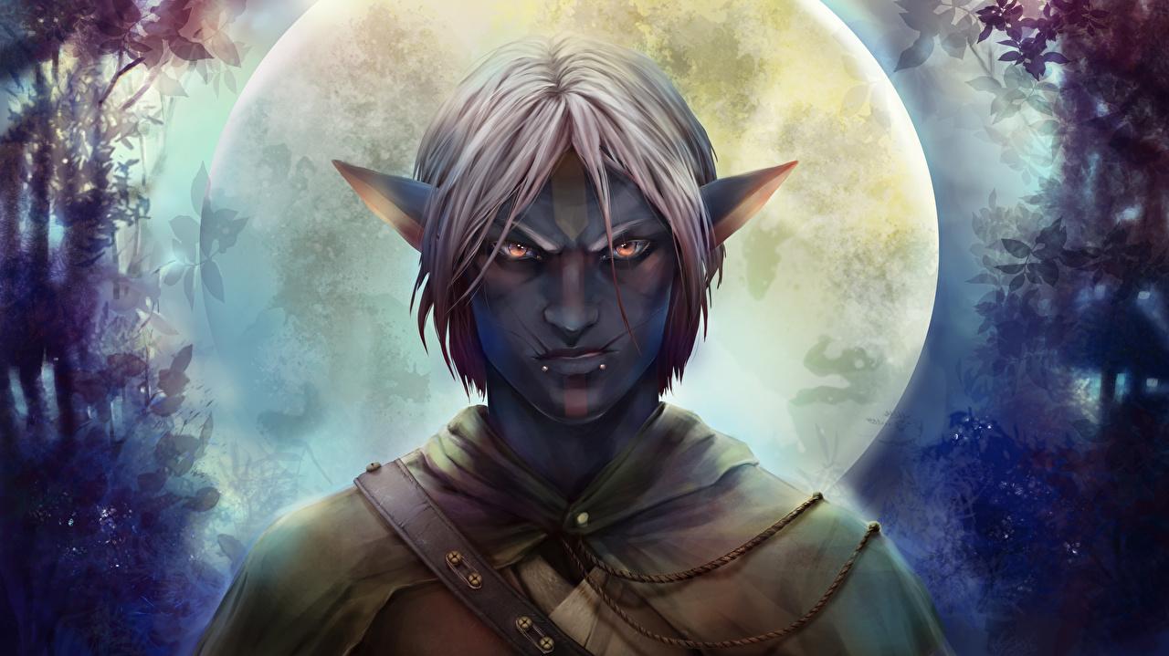 1280x719 Male Elf