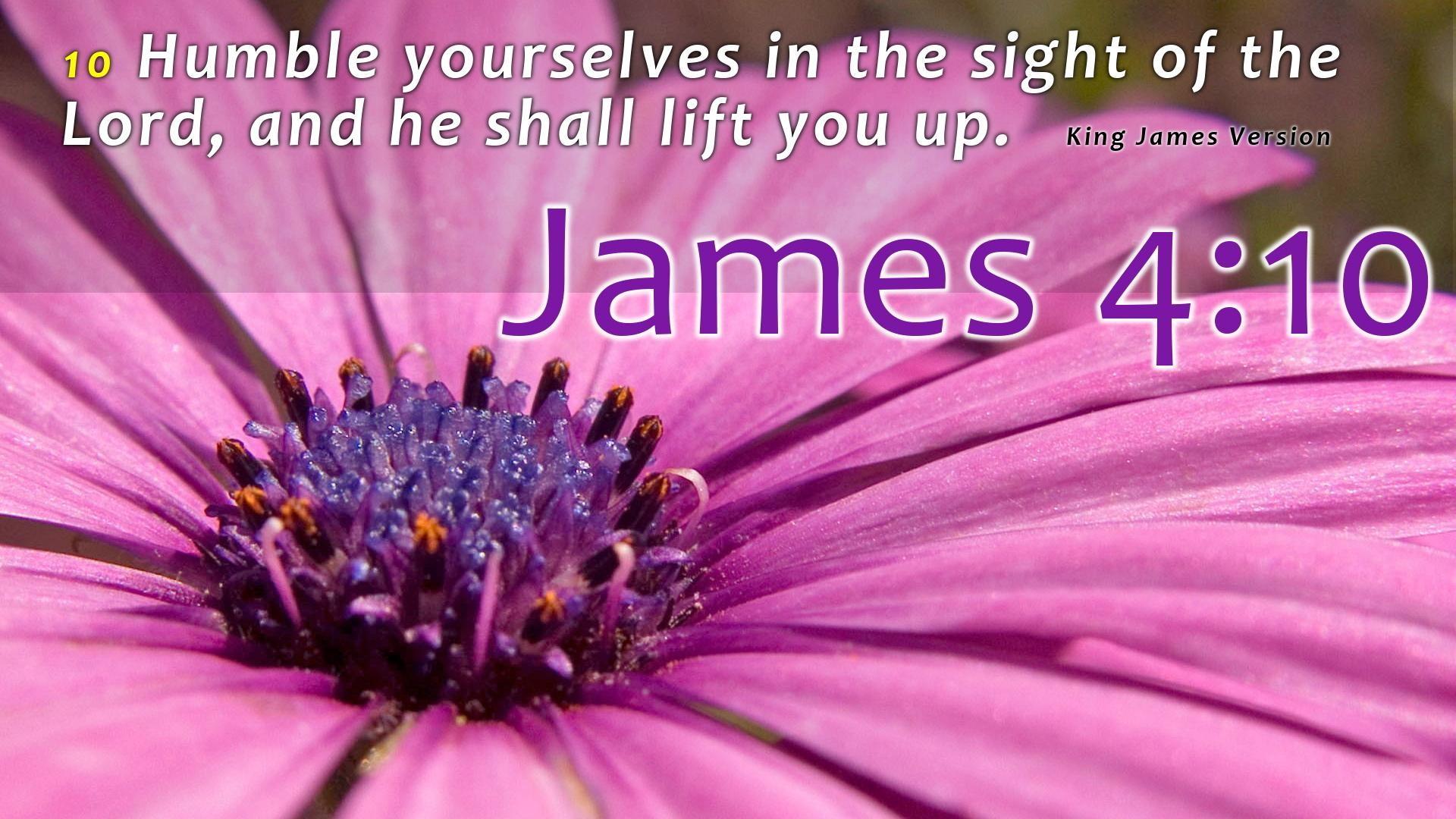 King James Bible Wallpapers - Top Free King James Bible Backgrounds ...