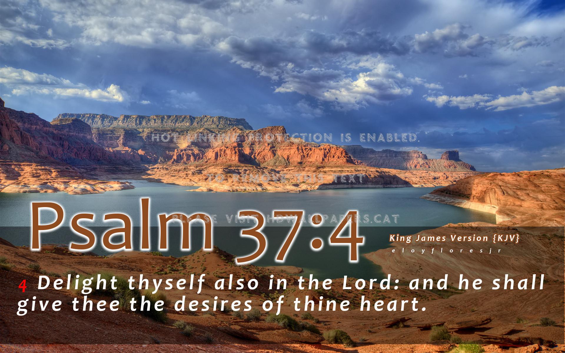 king-james-bible-wallpapers-top-free-king-james-bible-backgrounds