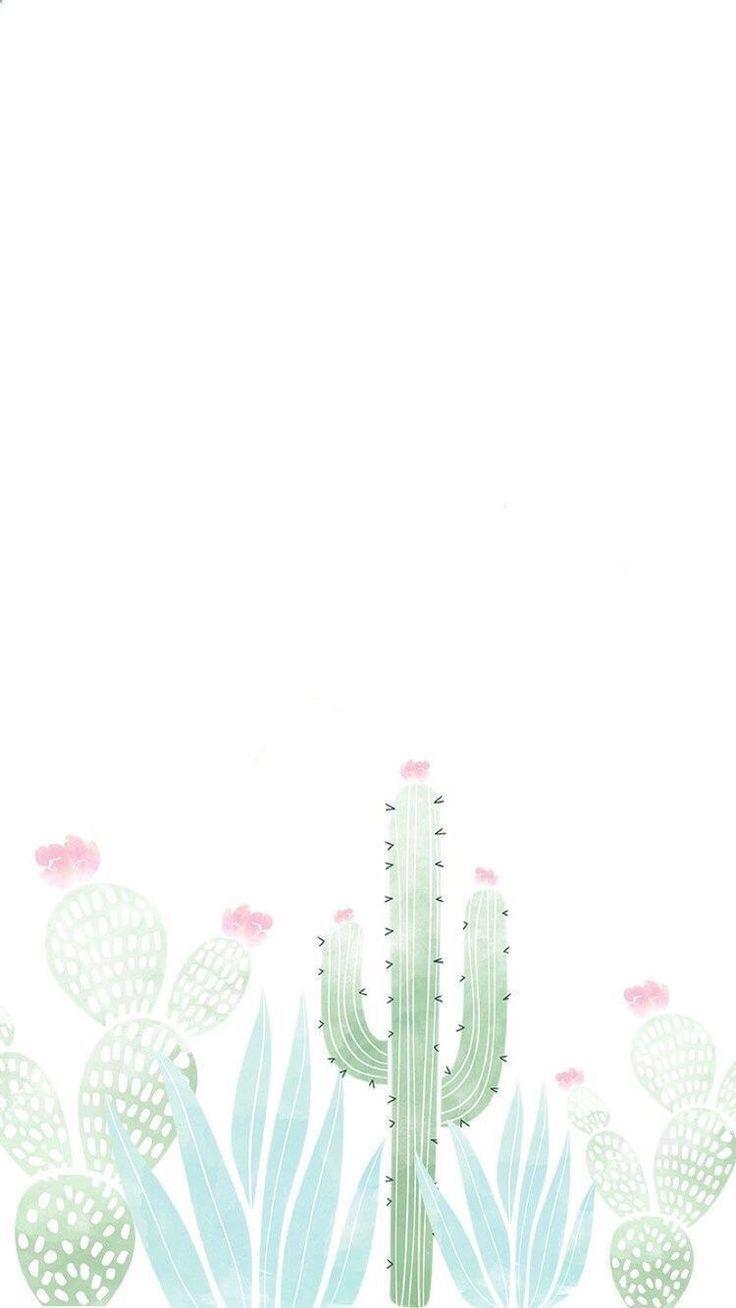 Pastel Cactus Wallpapers Top Free Pastel Cactus Backgrounds
