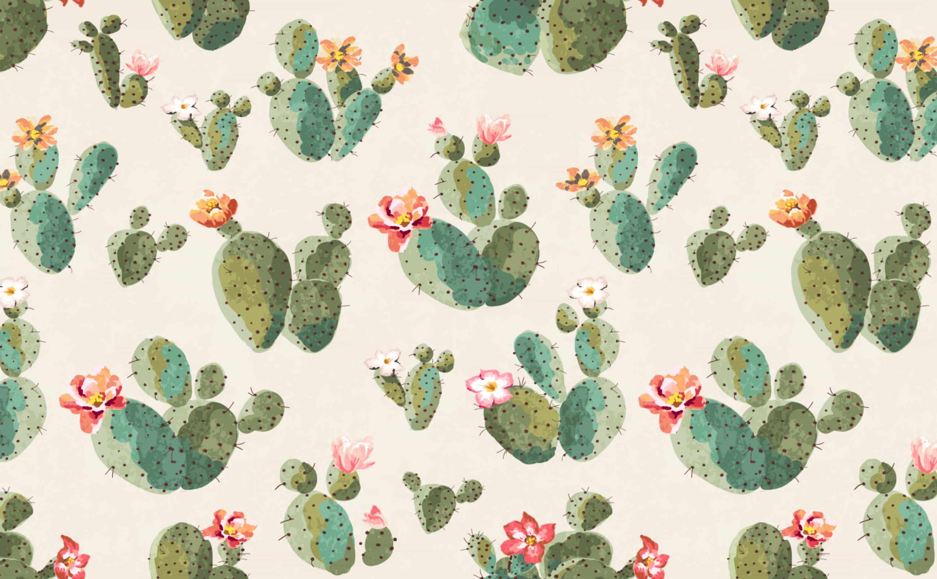 Pastel Cactus Wallpapers Top Free Pastel Cactus Backgrounds
