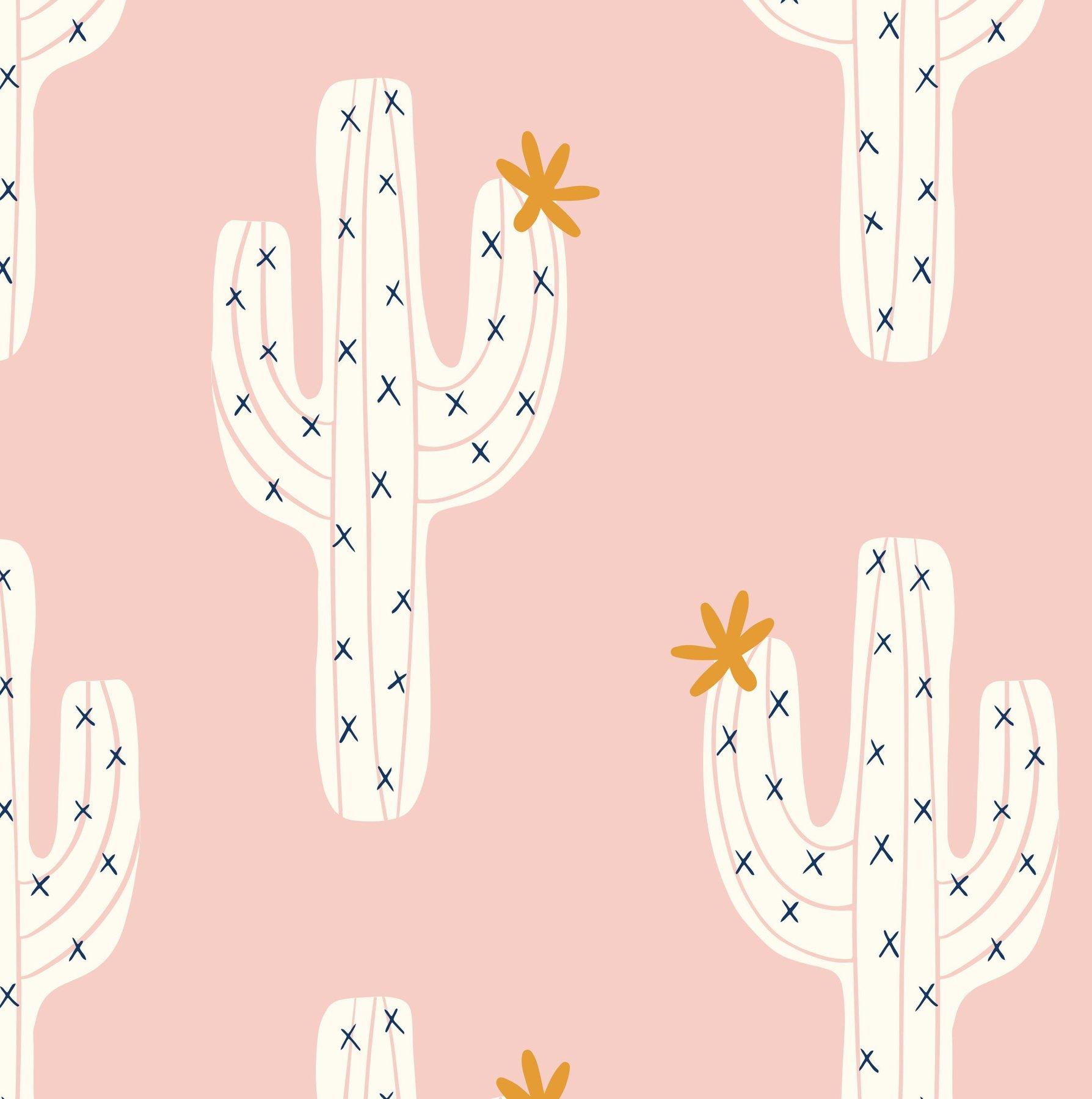 Pastel Cactus Wallpapers Top Free Pastel Cactus Backgrounds