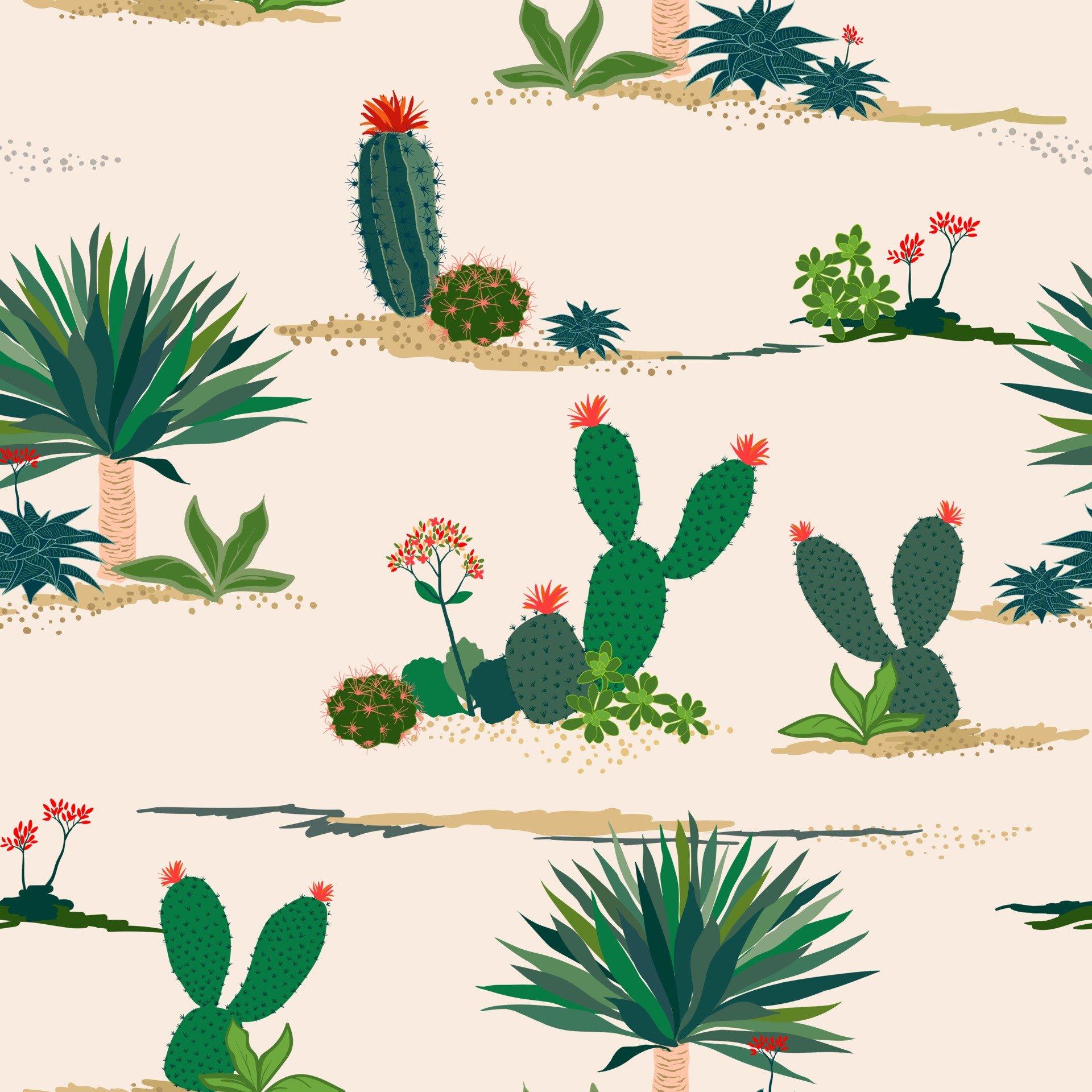 Pastel Cactus Wallpapers Top Free Pastel Cactus Backgrounds