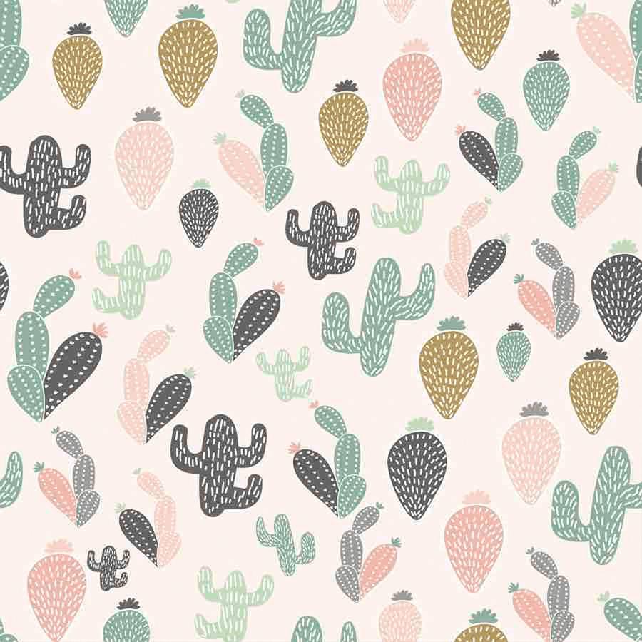 900x900 Download Cactus Wallpaper