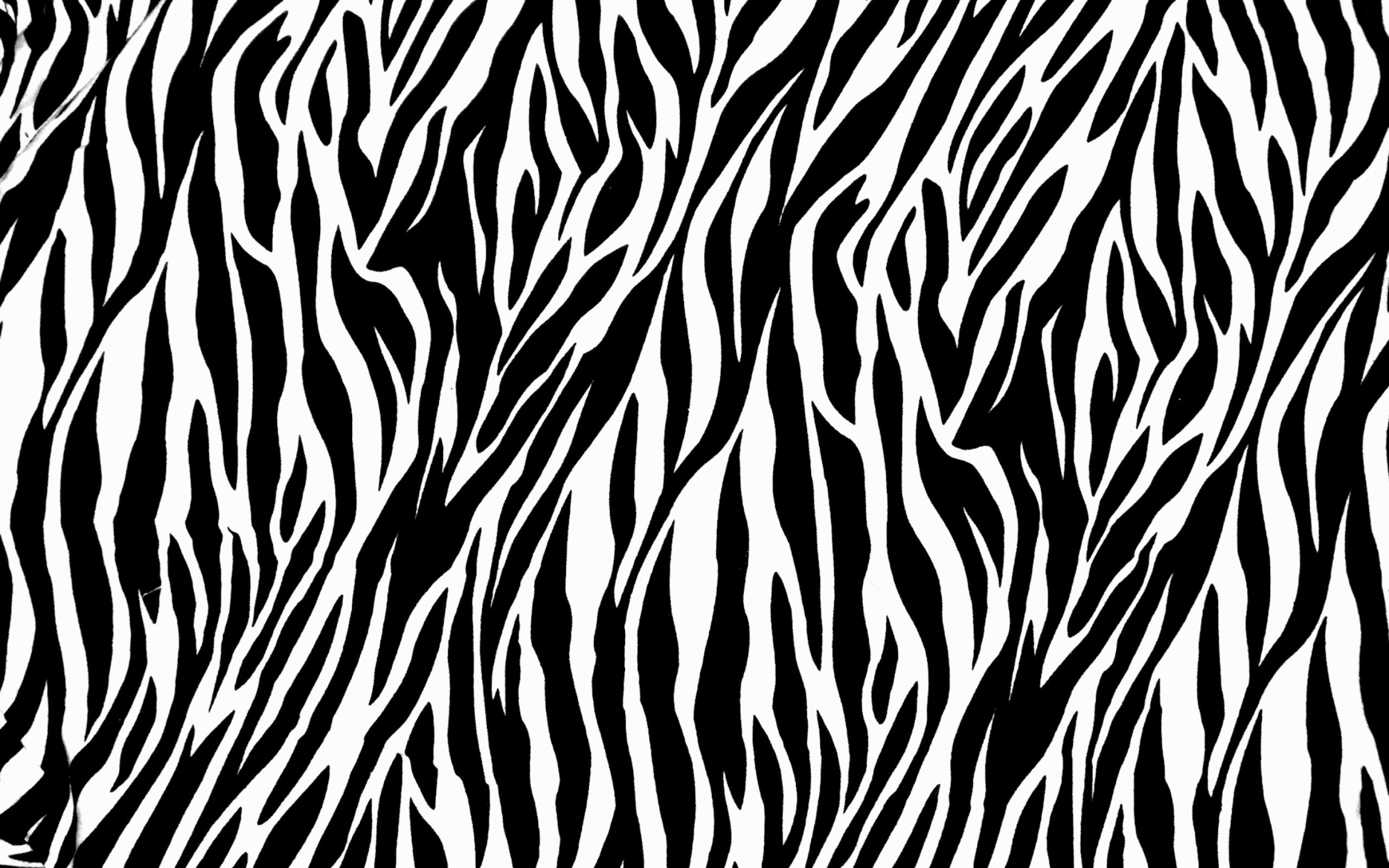 2560x1600 Zebra Print Wallpaper HD