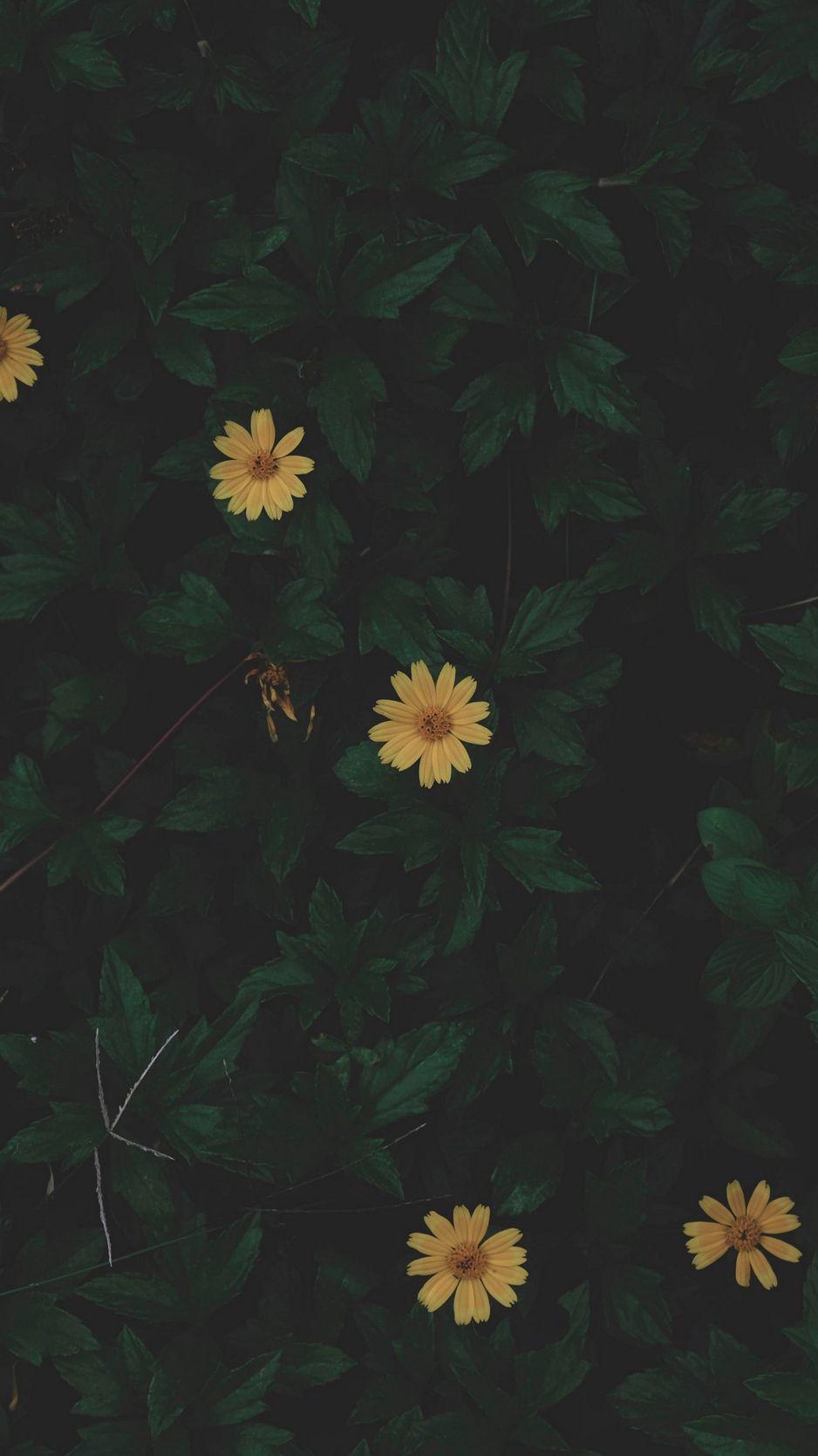 938x1668 Army Green iPhone Wallpaper