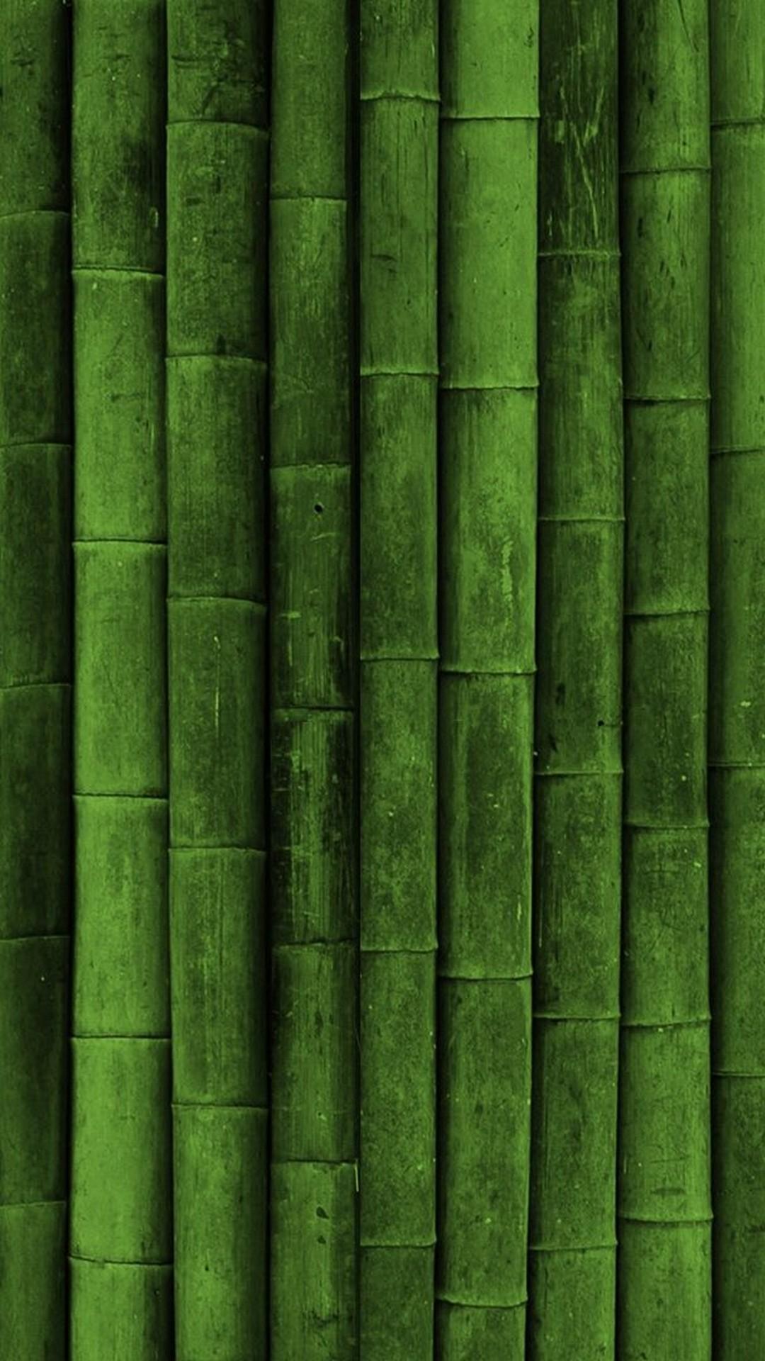 Olive Green iPhone Wallpapers - Top Free Olive Green iPhone Backgrounds