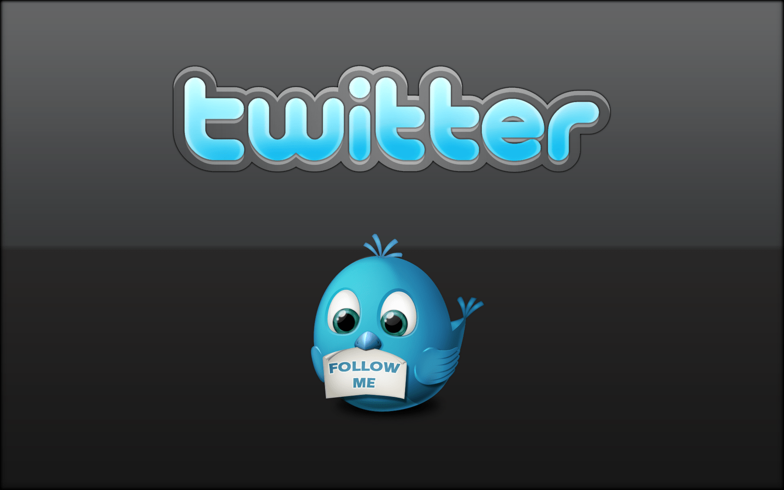 1600x1000 Free download Logo and Cute Twitter Bird Mascote Follow Me HD Desktop Wallpaper [1600x1000] for your Desktop, Mobile & Tablet. Explore Cute Wallpaper for Twitter. Cute Wallpaper for Girls