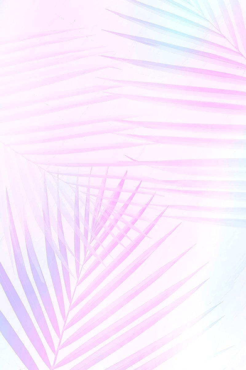 800x1200 Free Vectors, PNGs, Mockups & Background