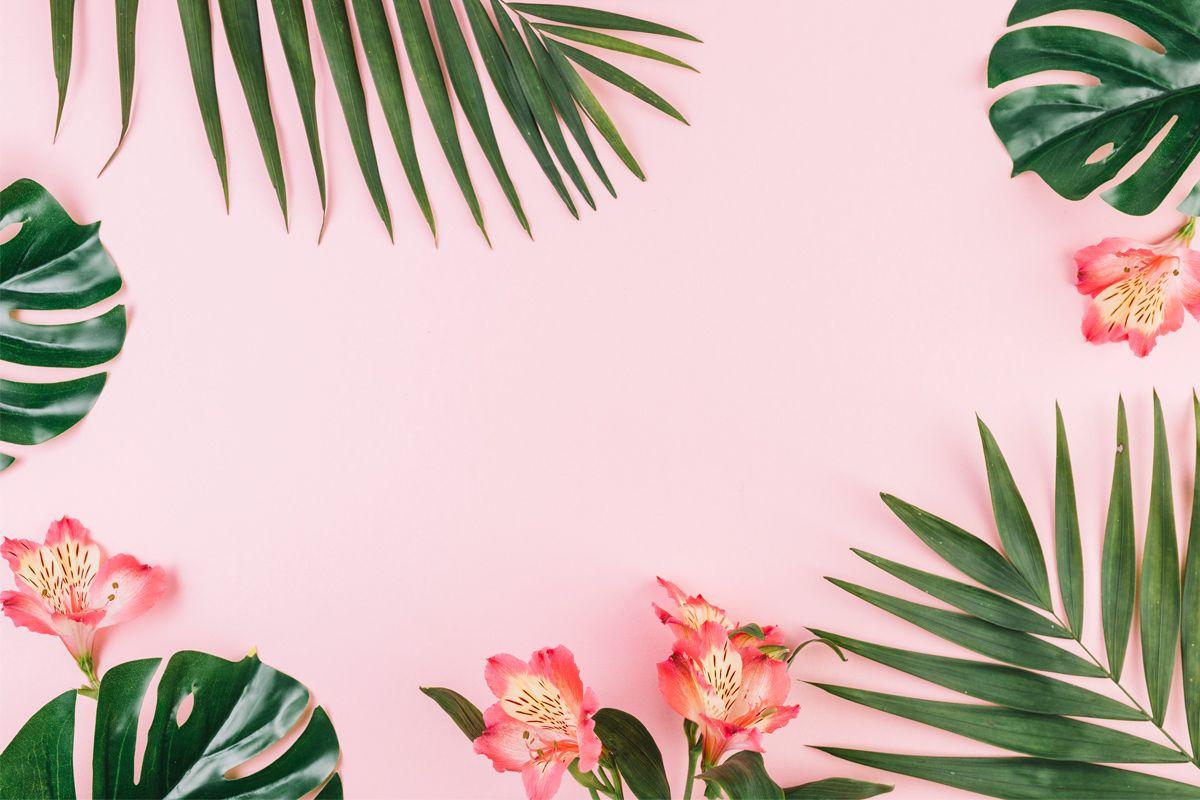 1200x800 Pastel Tumblr Leaves Background