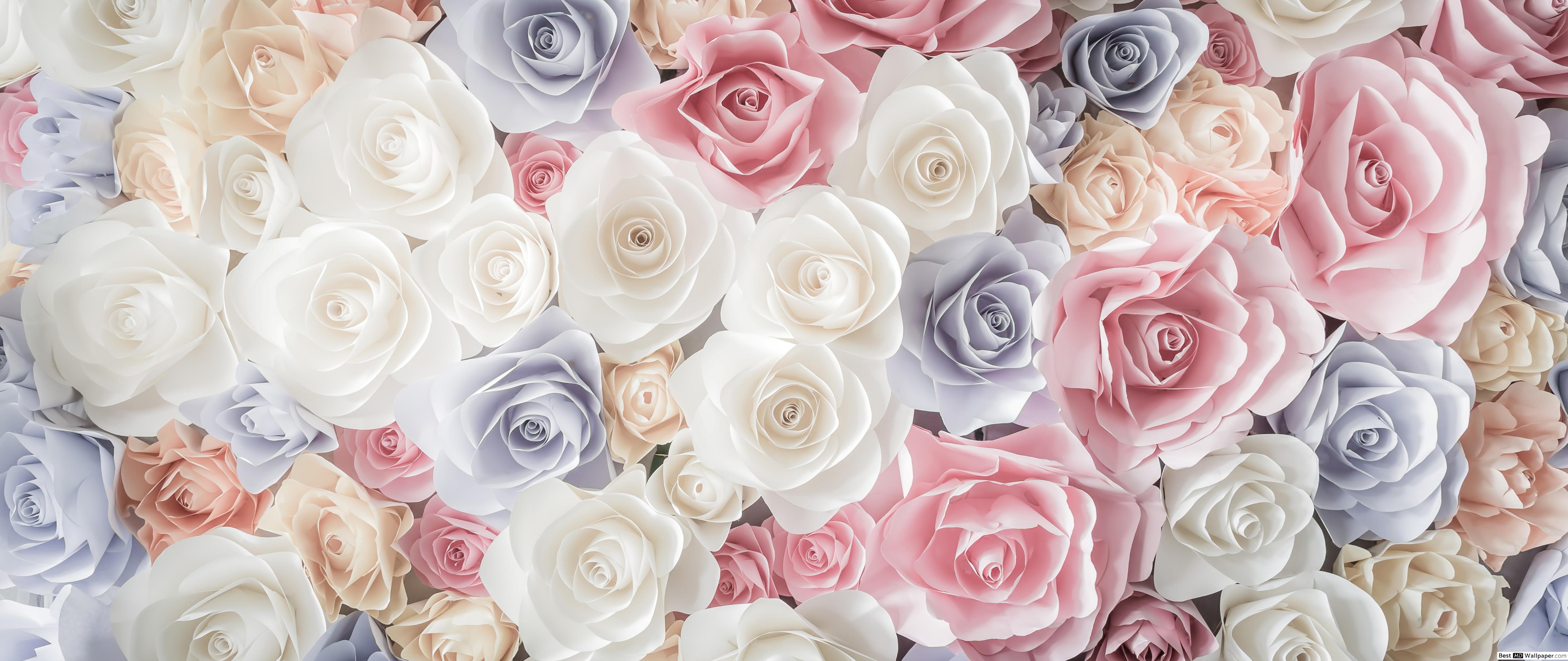 5120x2160 Profile Picture Pastel Flower