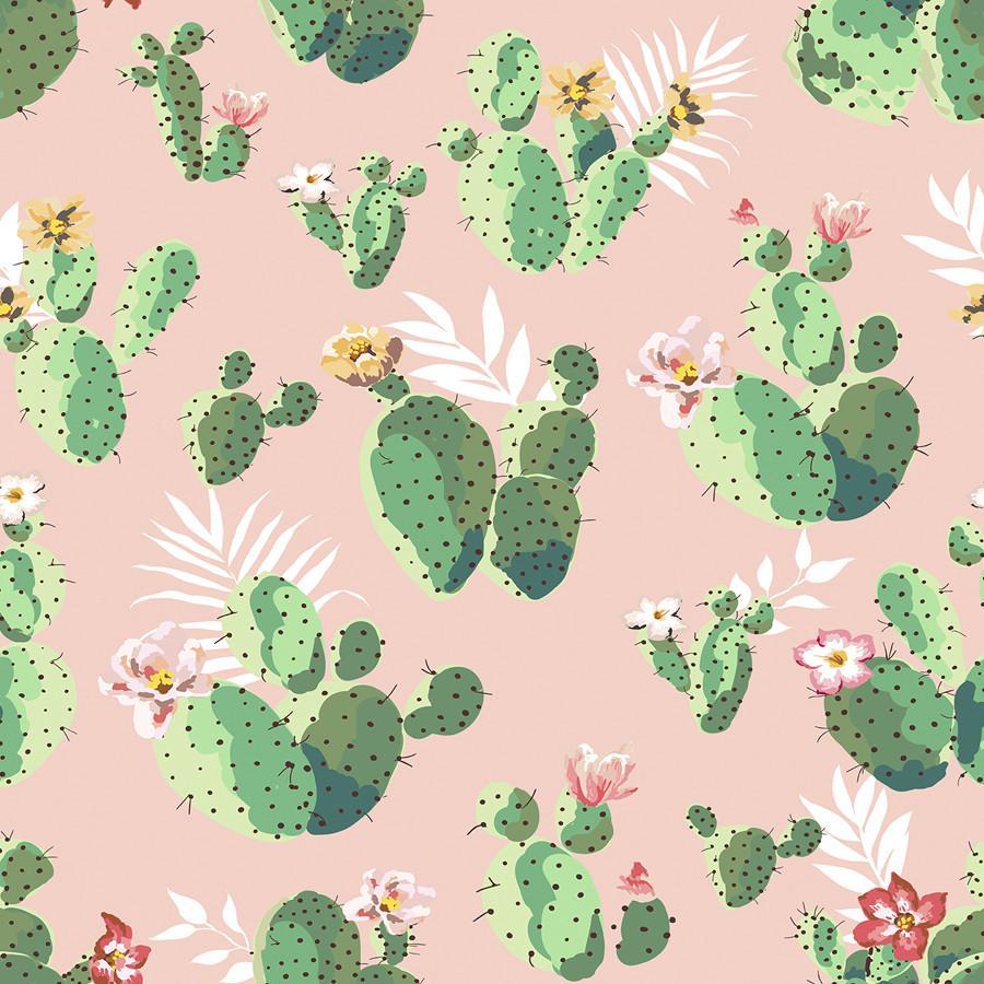900x900 Pink Cactus iPhone Wallpaper