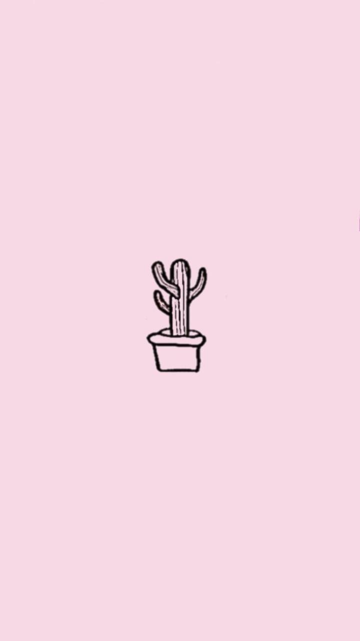 720x1280 Aesthetic Pink Cactus Wallpaper