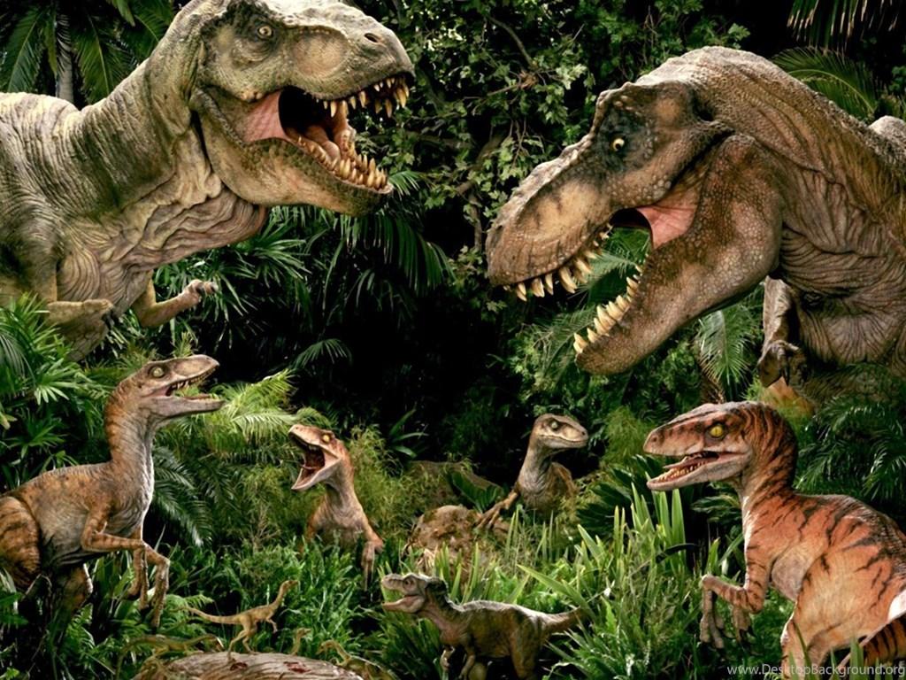 1024x768 Jurassic World 2015 Wallpaper DreamLoveWallpaper Desktop Background