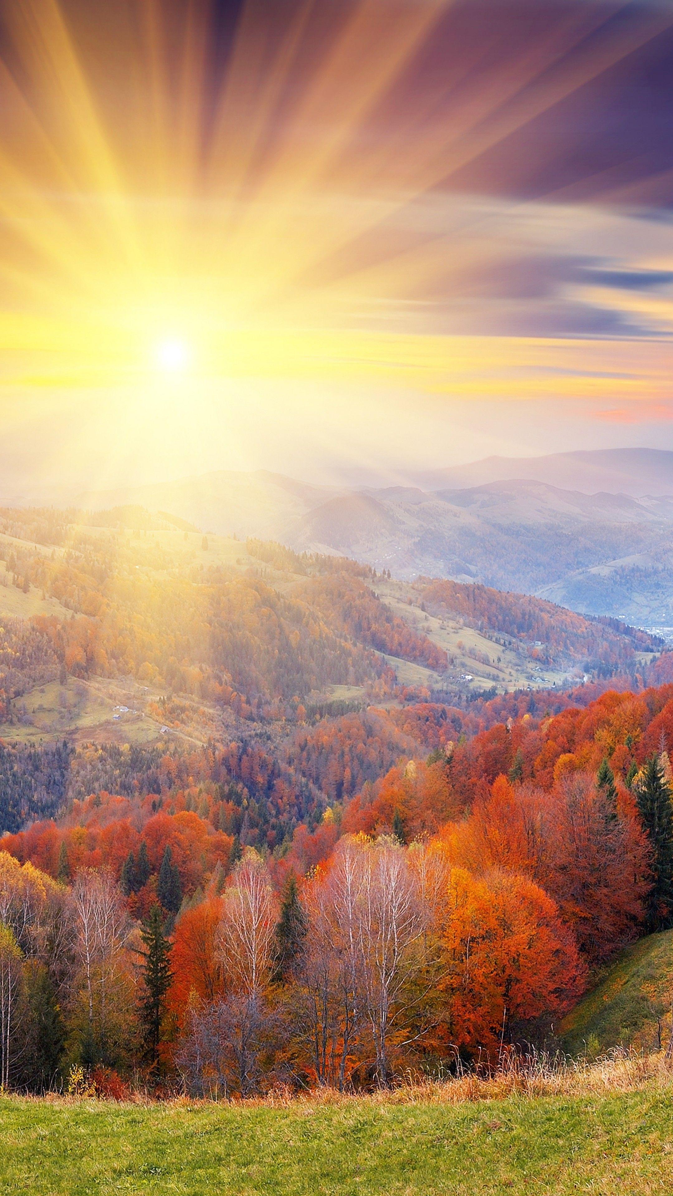 2160x3840 Wallpaper autumn, 4k, HD wallpaper, 8k, trees, dawn, mount, coloring