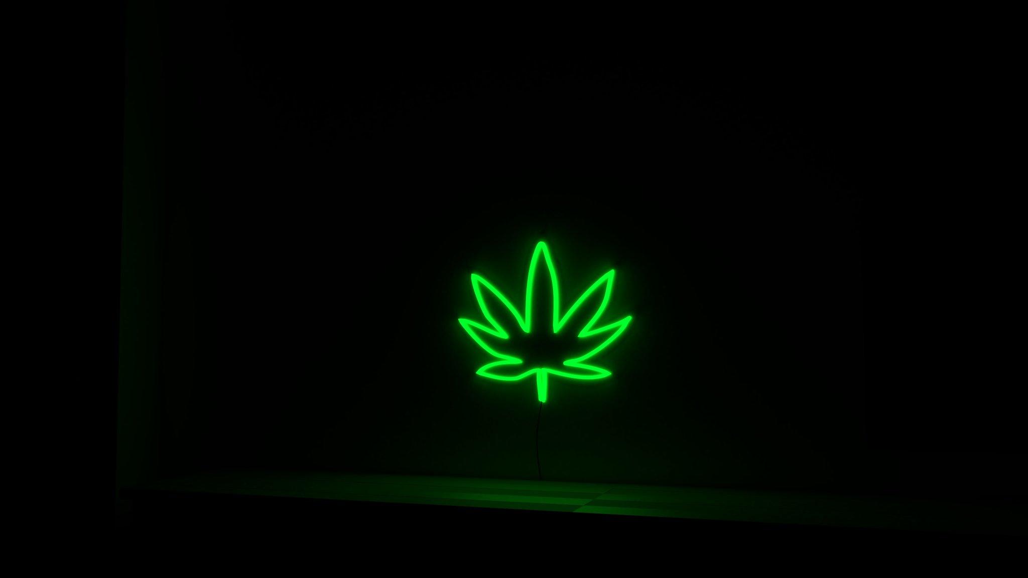 Neon Weed Wallpapers - Top Free Neon Weed Backgrounds - WallpaperAccess