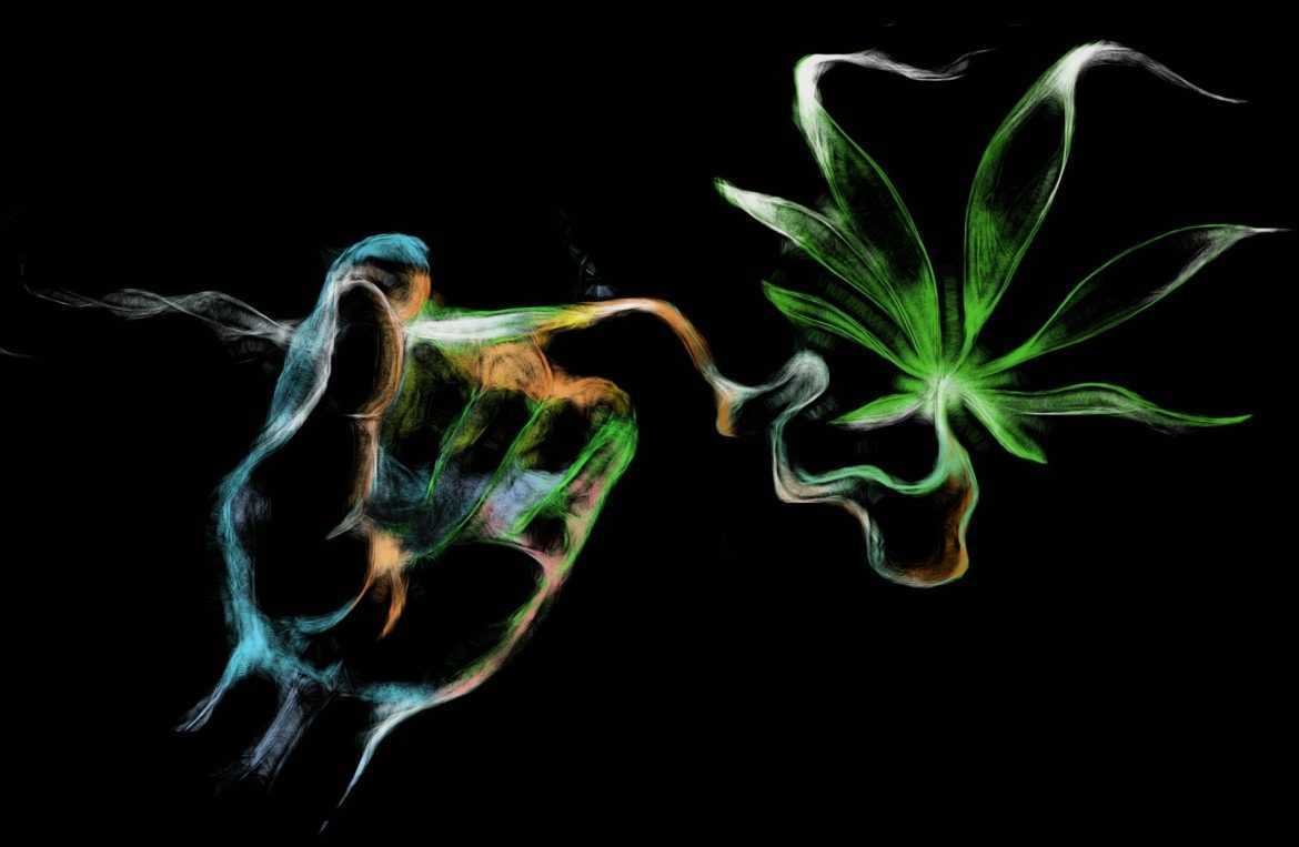 1170x763 Marijuana Wallpaper Archives Seed Banks