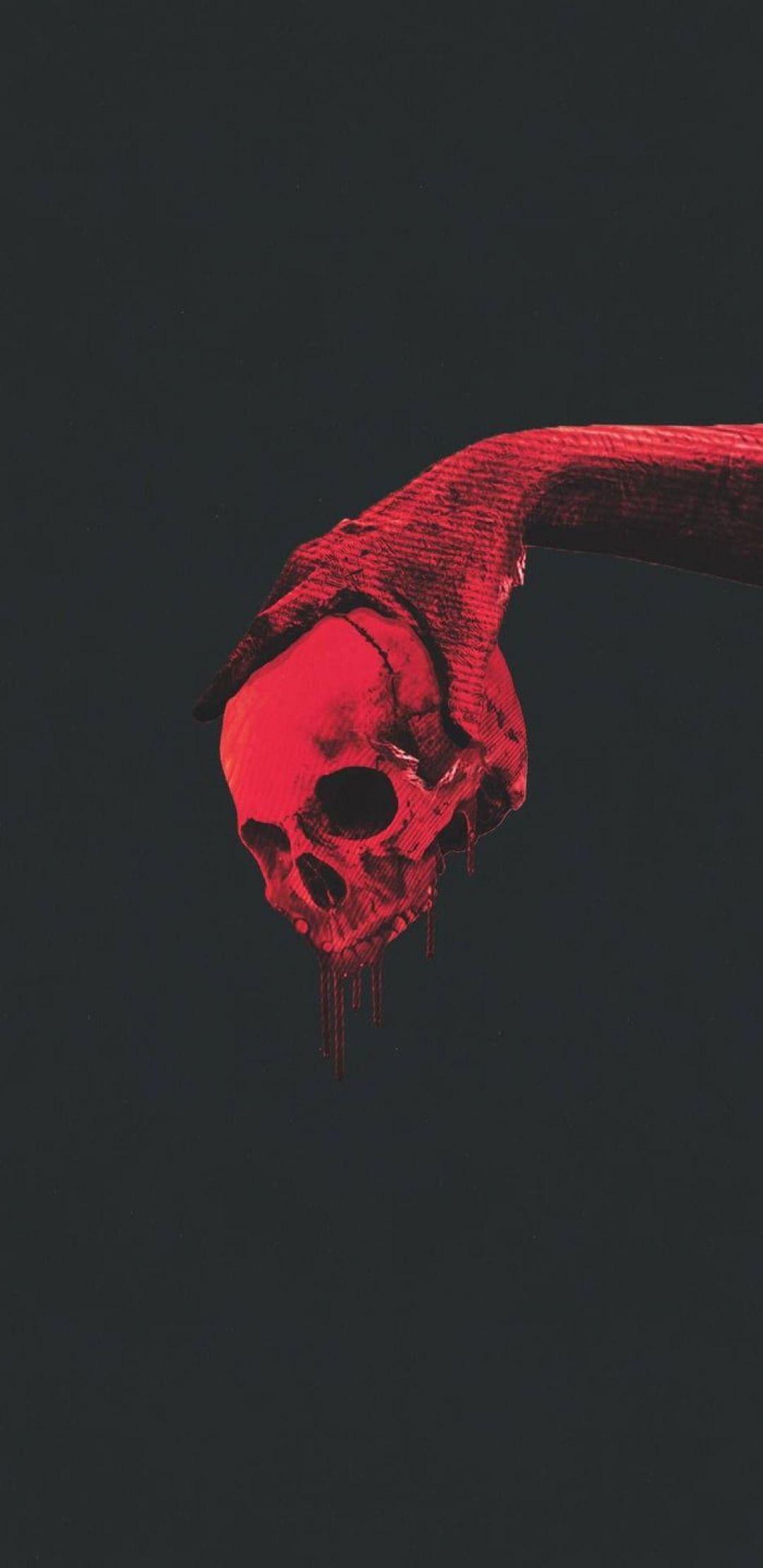 1080x2220 Aesthetic Skull Image, HD Photo (1080p), Wallpaper (Android IPhone) (2021)