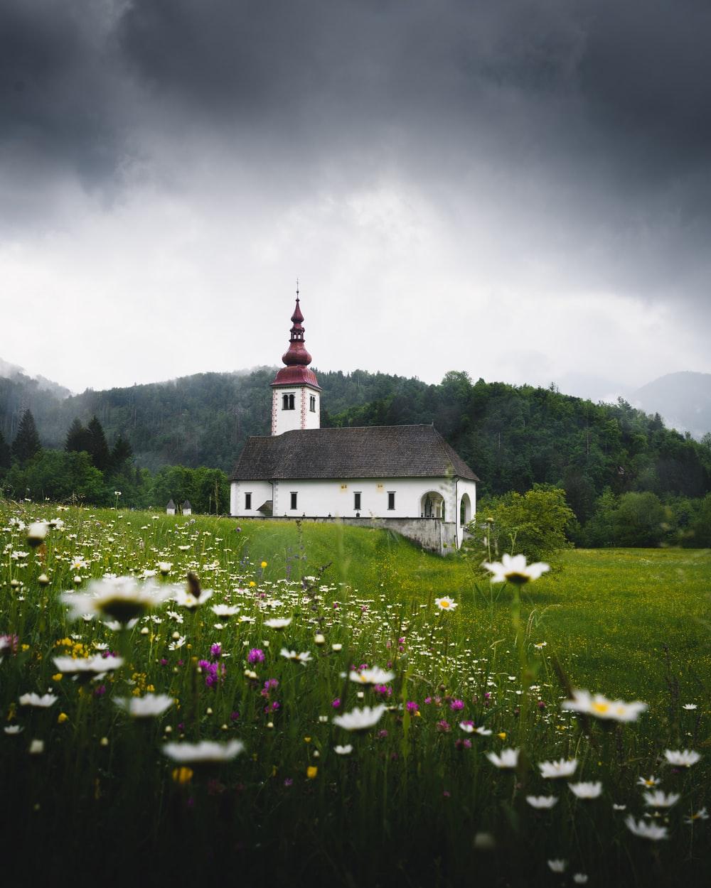 1000x1250 Cloudy Weather Picture [HD]. Download Free Image