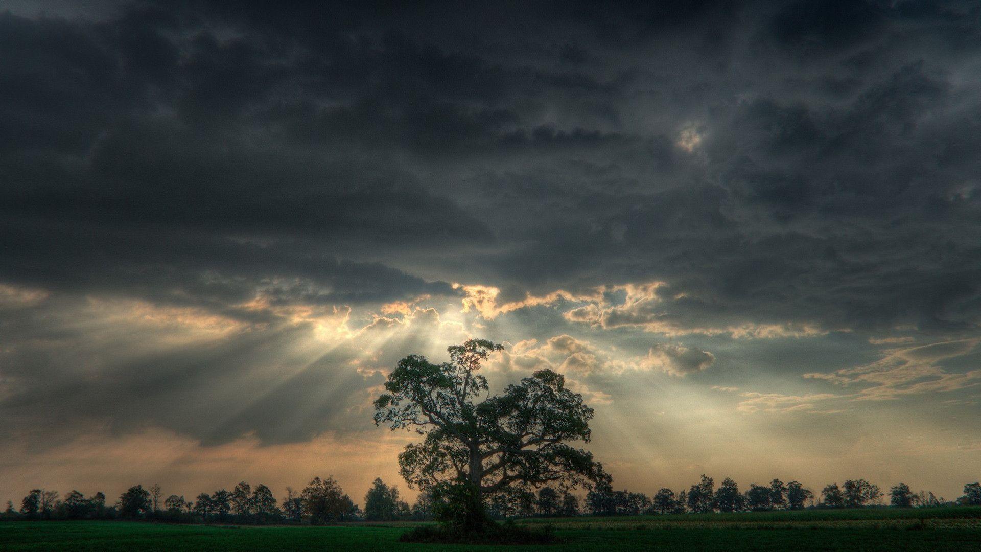 1920x1080 Trees Clouds Sky HD Wallpaper