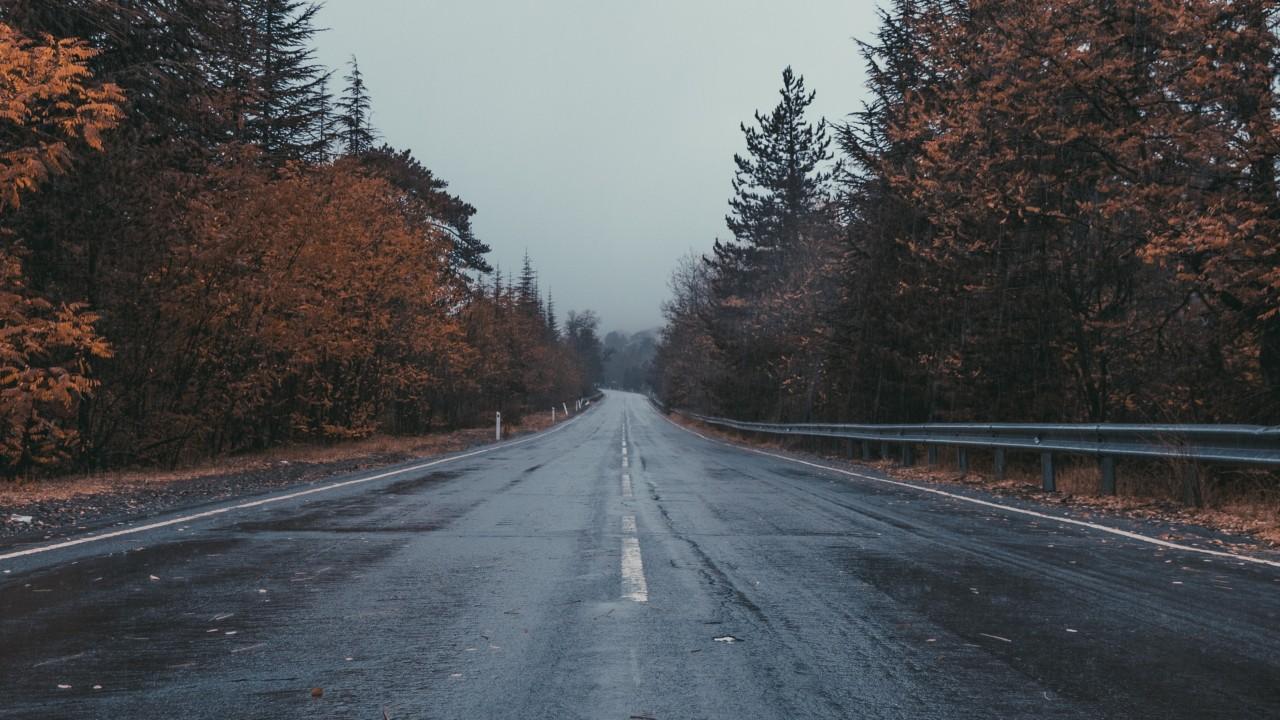 1280x720 road, marking, trees, overcast wallpaper. road, marking, trees, overcast