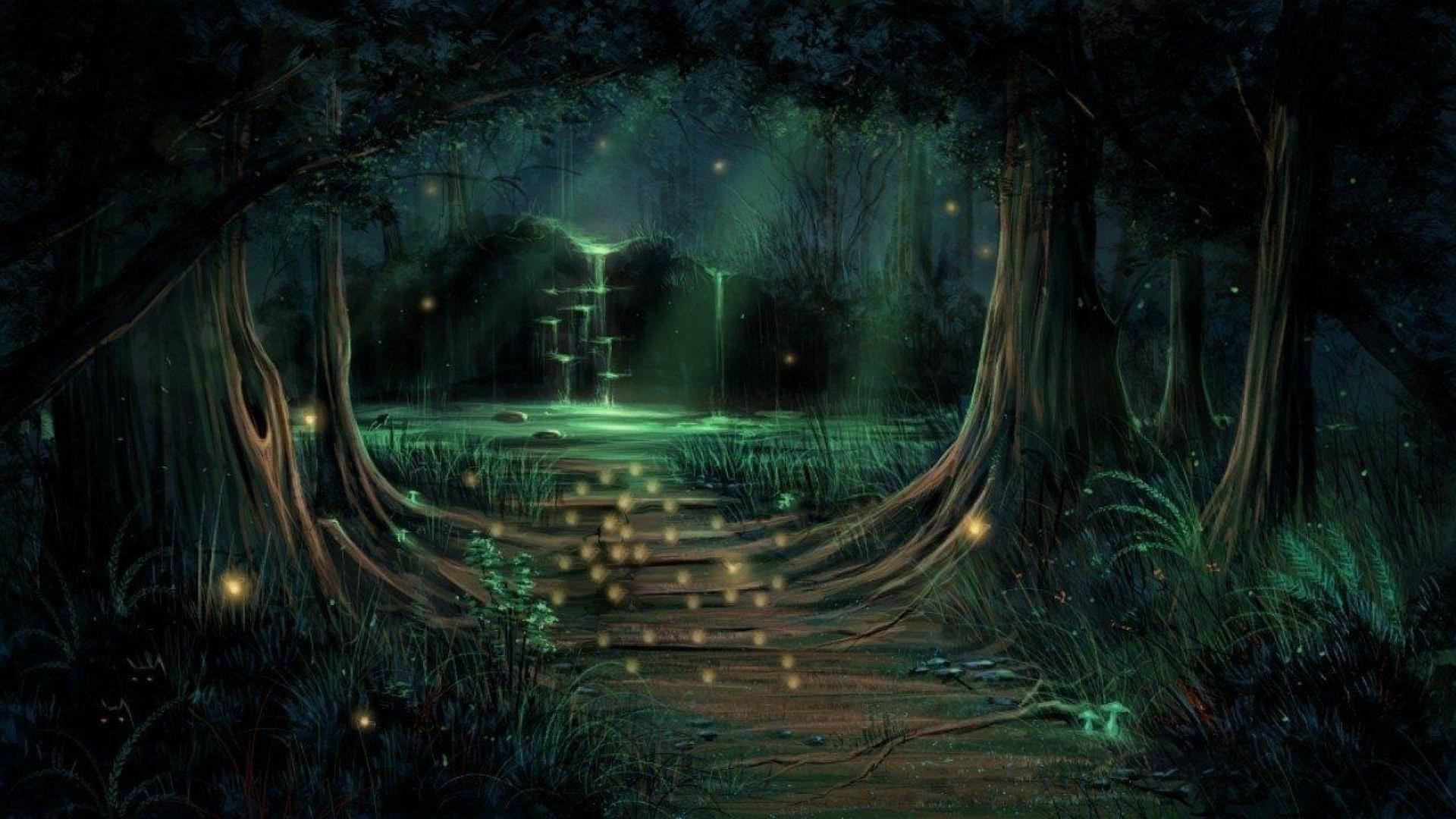 1920x1080 Aesthetic Beautiful Dark Forest Background Wallpaper Portal
