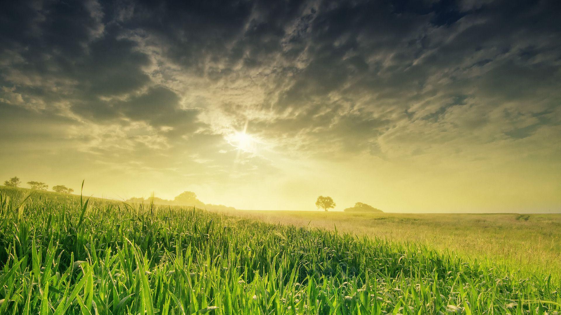 1920x1080 Sunlight fields. View wallpaper, Field wallpaper, HD nature wallpaper