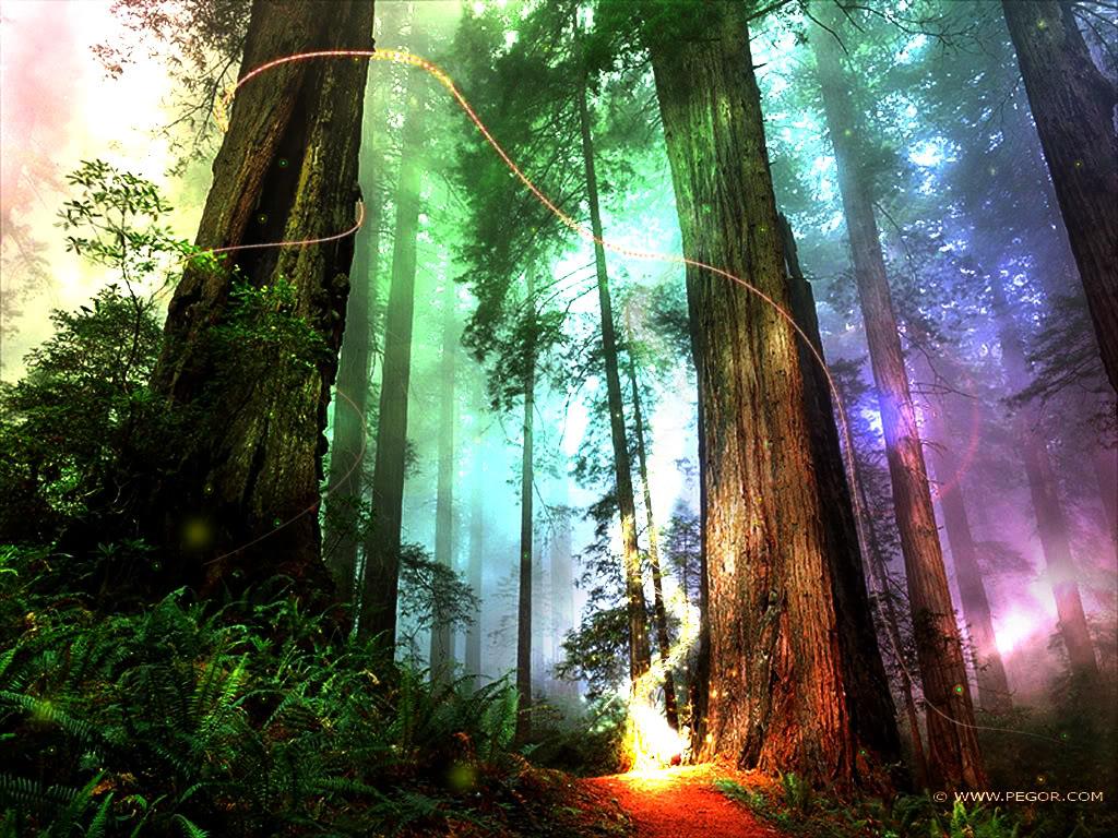 1024x768 Magical wallpaperx768