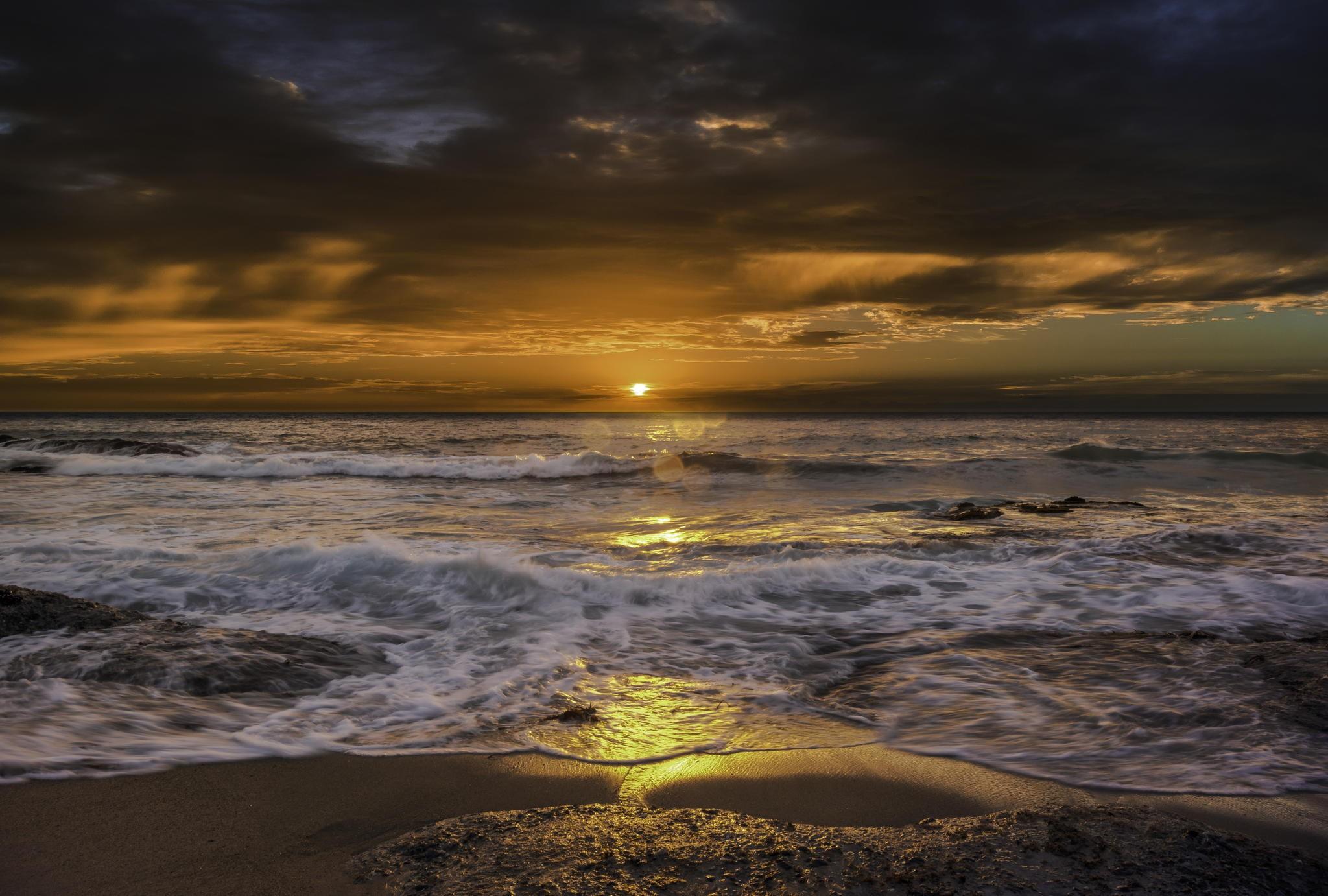 2048x1382 Hd Nature Wallpaper, Plant, Organic Life, High Resolution Sky Beach Wallpaper HD
