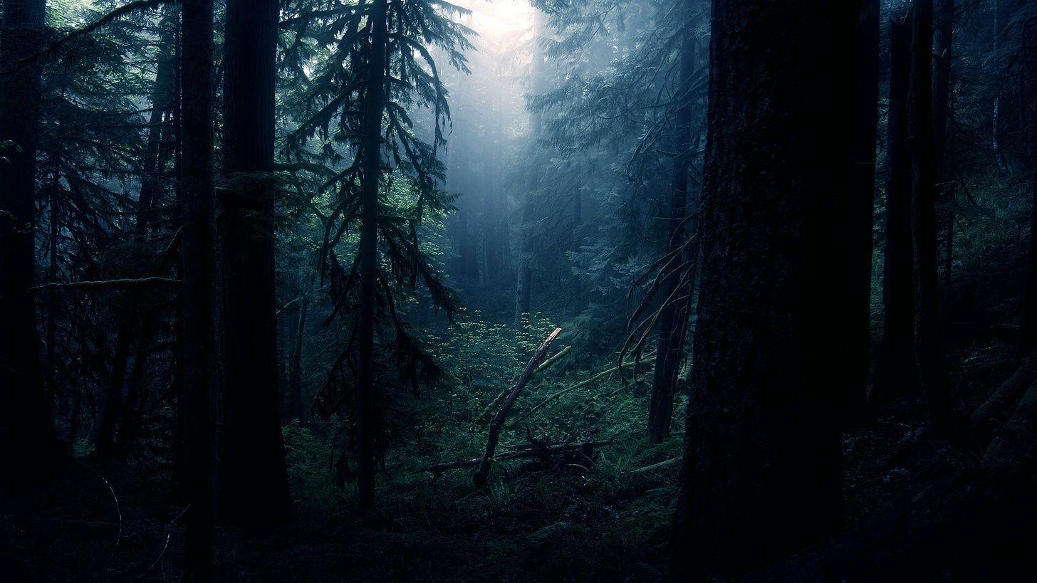 1456x819 Free download Chill wallpaper that dont hurt your eyes at night wallpaper [1456x819] for your Desktop, Mobile & Tablet. Explore Chill Background. Chill Vibes Wallpaper, Be More Chill Wallpaper
