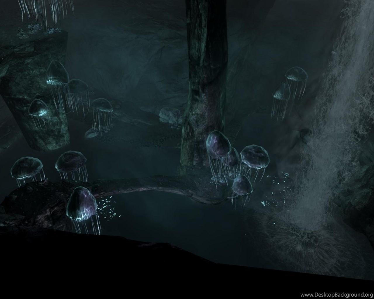 1280x1024 The Elder Scrolls Skyrim Dawnguard Wallpaper Desktop Background