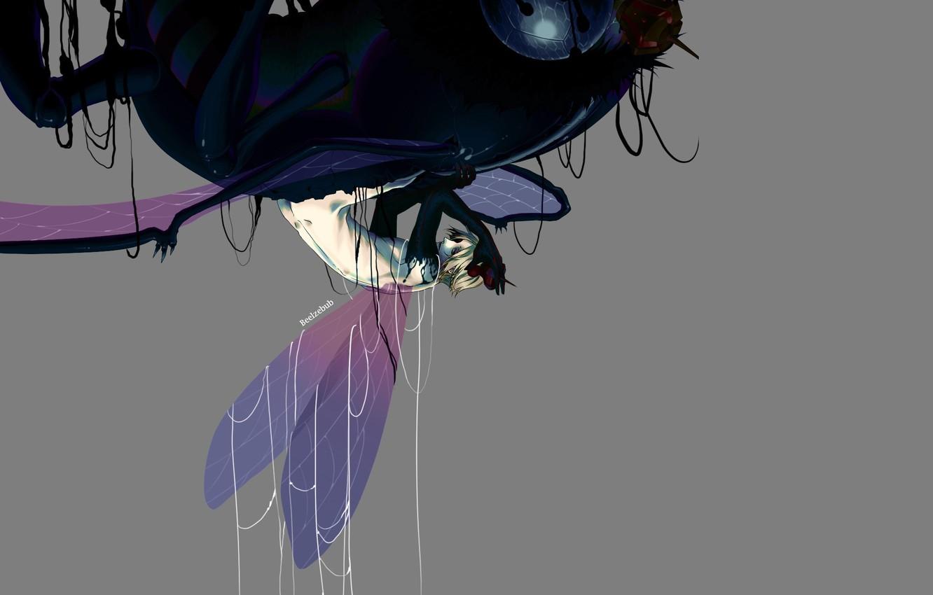 1332x850 Wallpaper Fly, The Demon, Insect, Beelzebub, Yondemasu Yo, Azazel San Image For Desktop, Section сёнэн