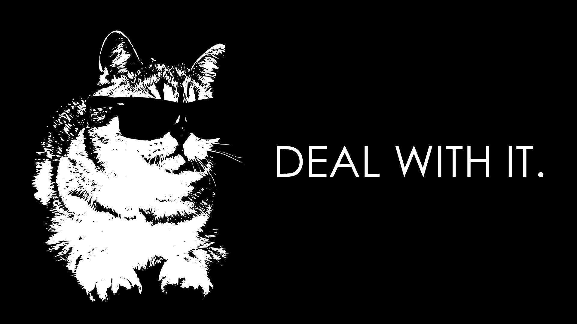 1920x1080 humor cat sunglasses wallpaper and background