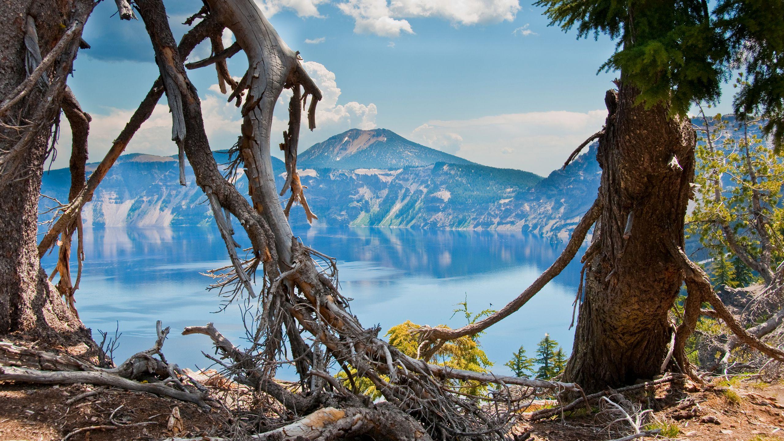 2560x1440 Download wallpaper 2560x1440 oregon, united states, mountains, trees widescreen 16:9 HD background